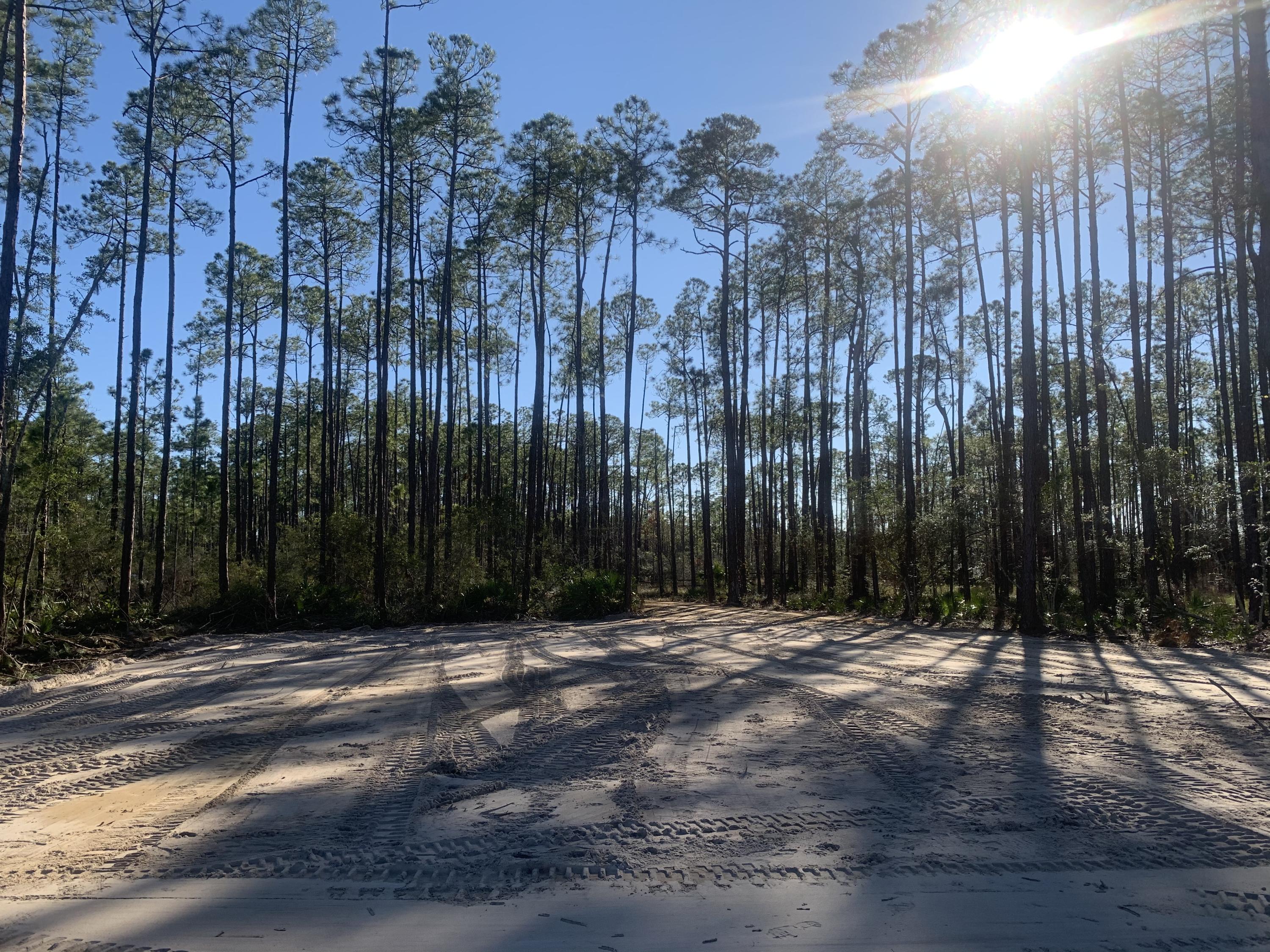 LOT 12 BLK A WHISPERING PINES S/D PB 5-37 OR 906-141 OR 1041-246 OR 1428-257 OR 2995-2825 OR 3016- - Land
