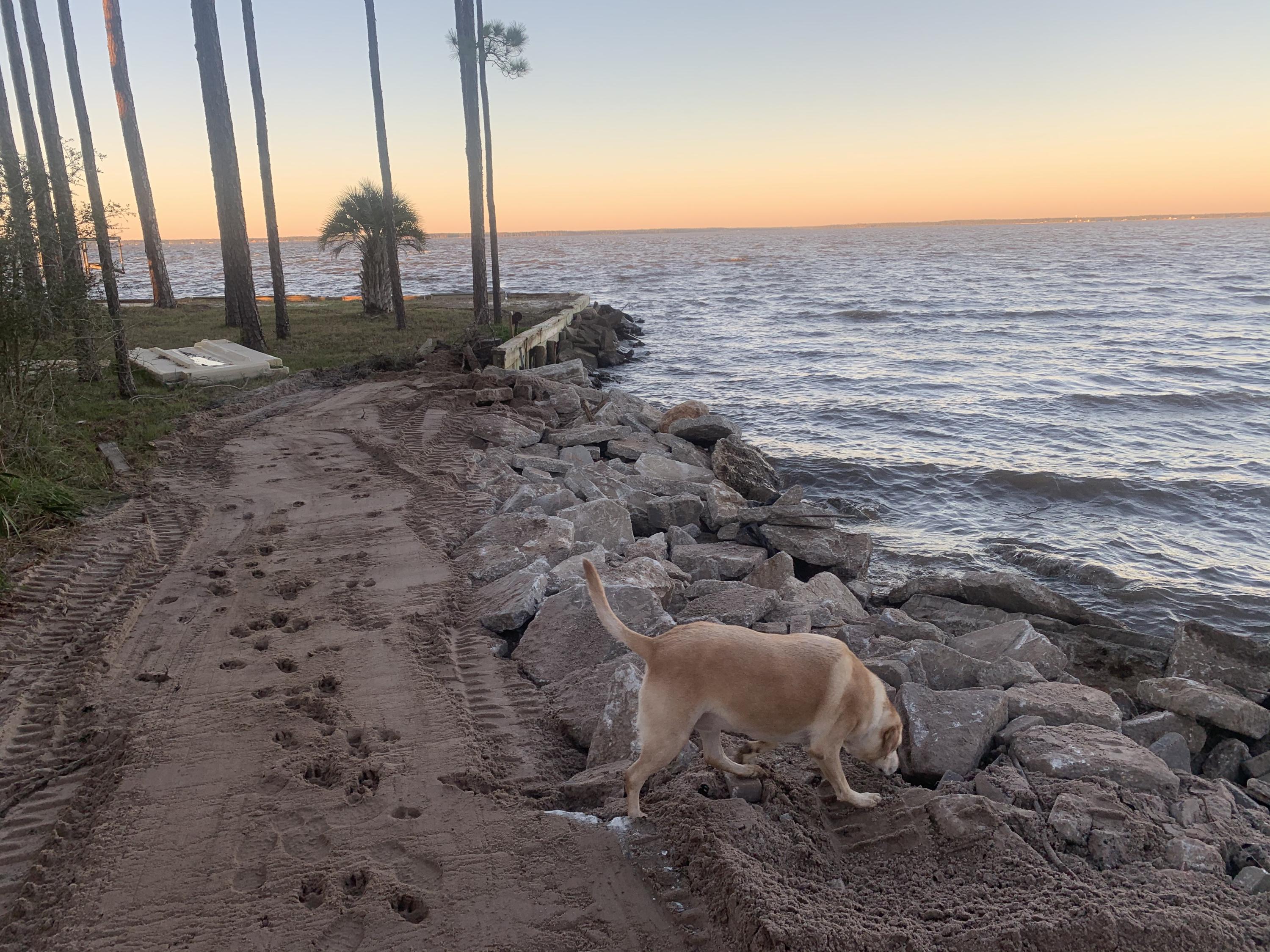 LOT 12 BLK A WHISPERING PINES S/D PB 5-37 OR 906-141 OR 1041-246 OR 1428-257 OR 2995-2825 OR 3016- - Land