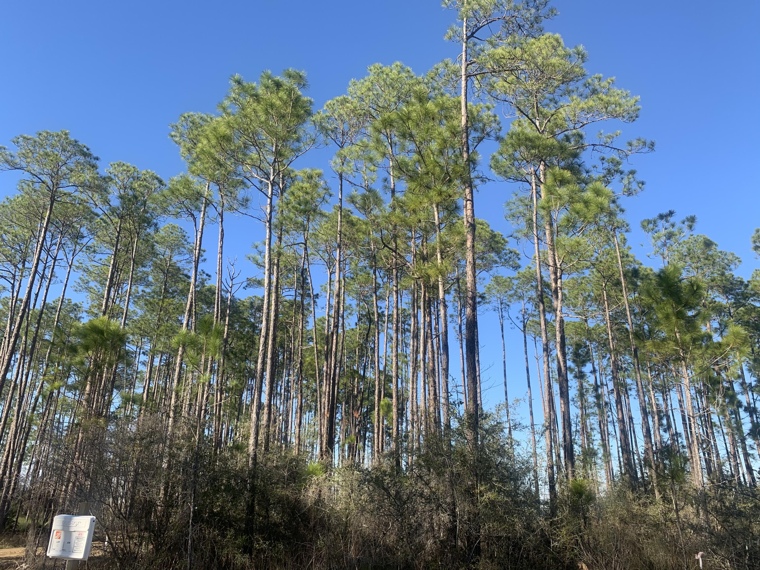 LOT 12 BLK A WHISPERING PINES S/D PB 5-37 OR 906-141 OR 1041-246 OR 1428-257 OR 2995-2825 OR 3016- - Land