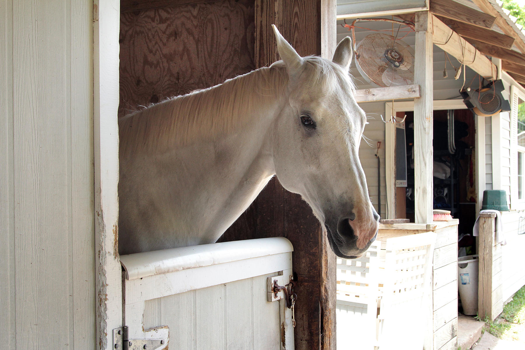 KELLY PLANTATION S/D - Residential