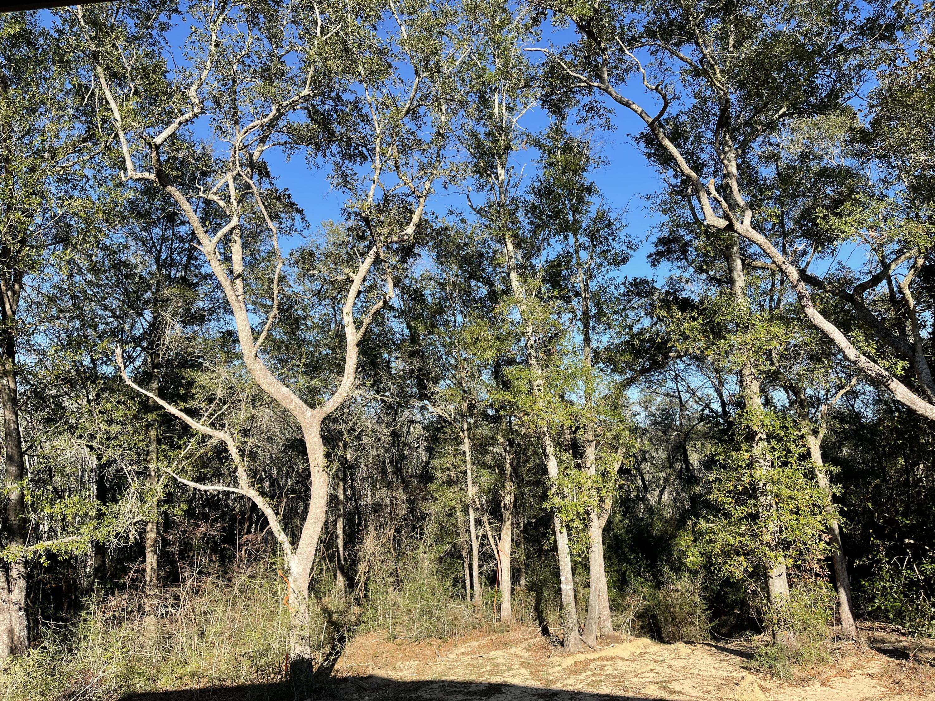 Habersham - Residential