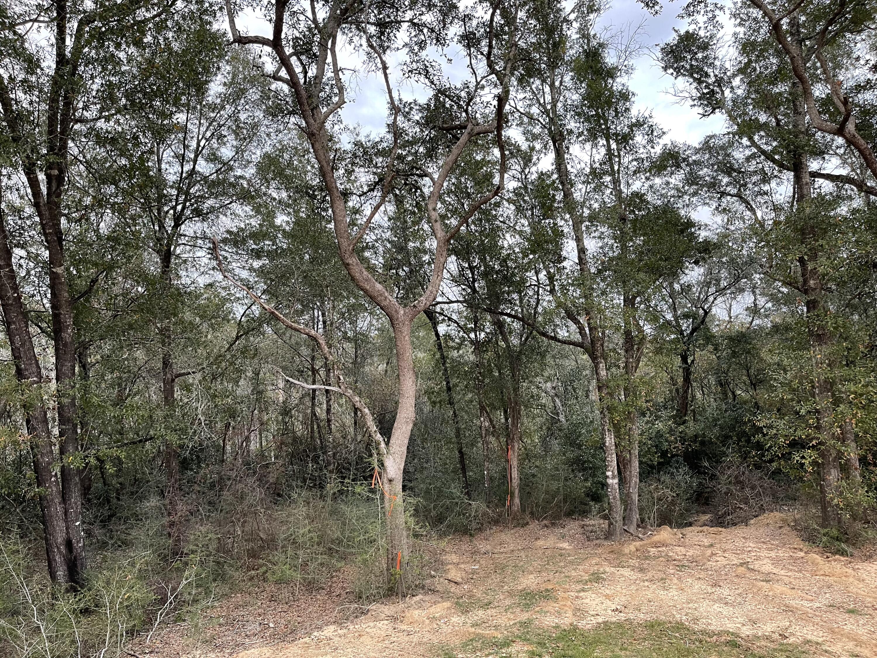 Habersham - Residential