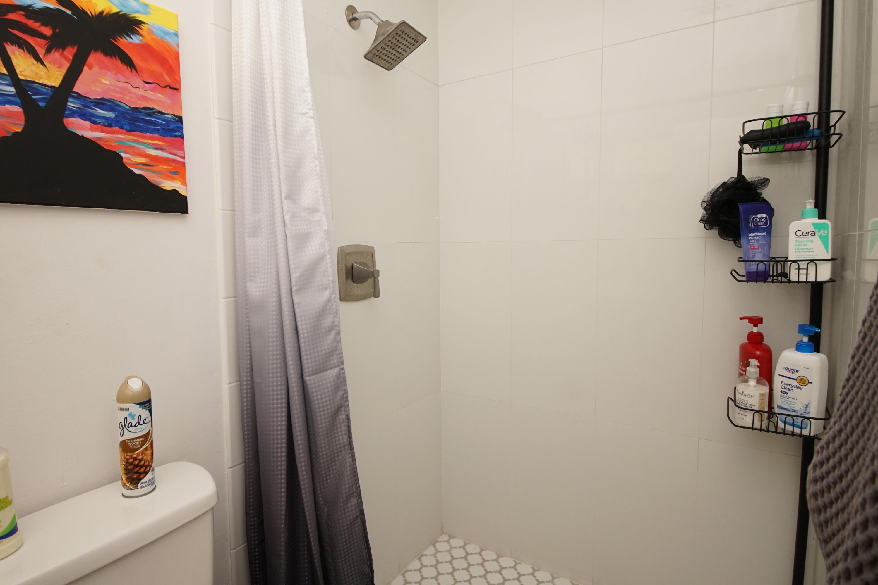 BRYN MAWR PARK - Residential