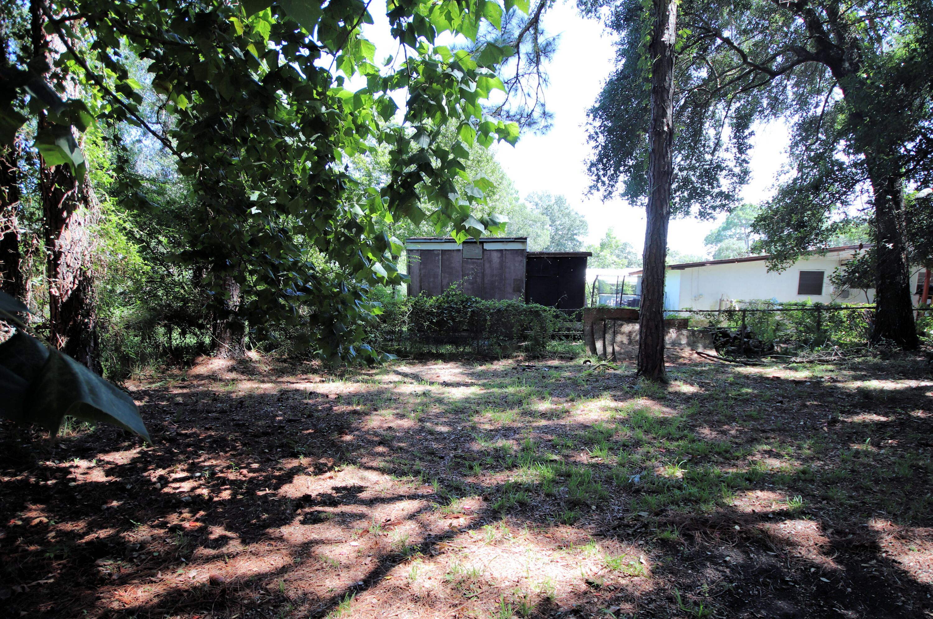 BRYN MAWR PARK - Residential