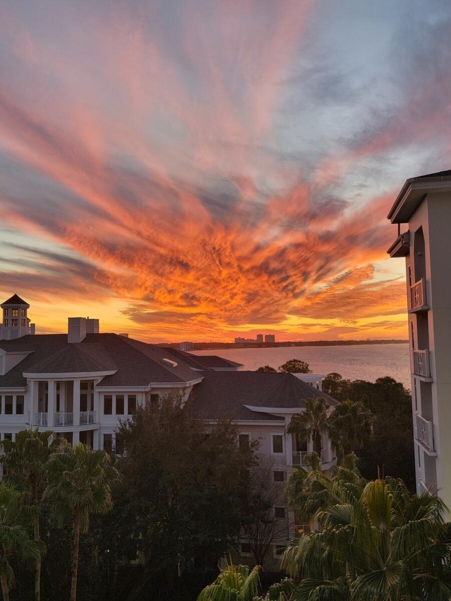 ELATION - Residential