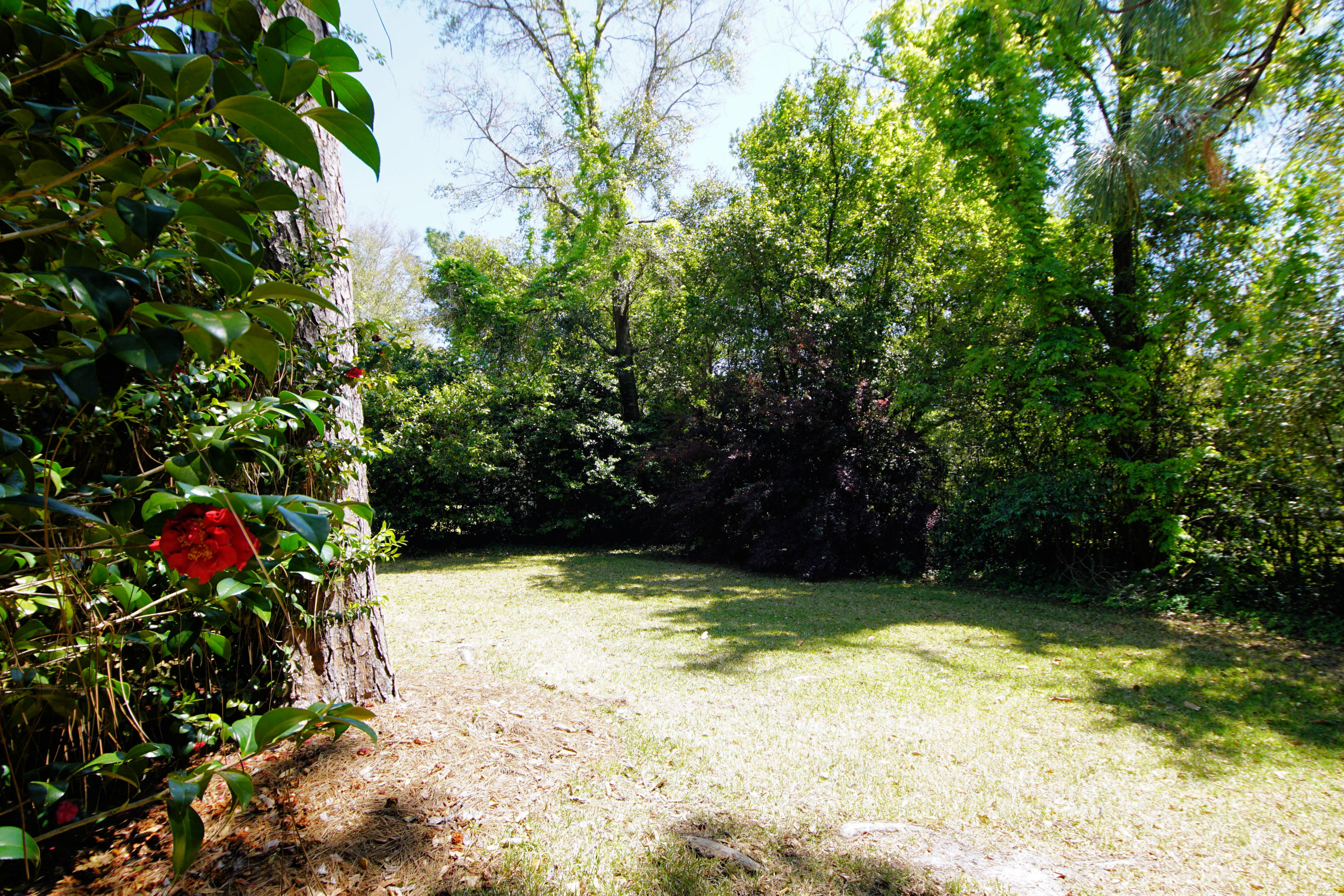 BAYOU POQUITO - Residential