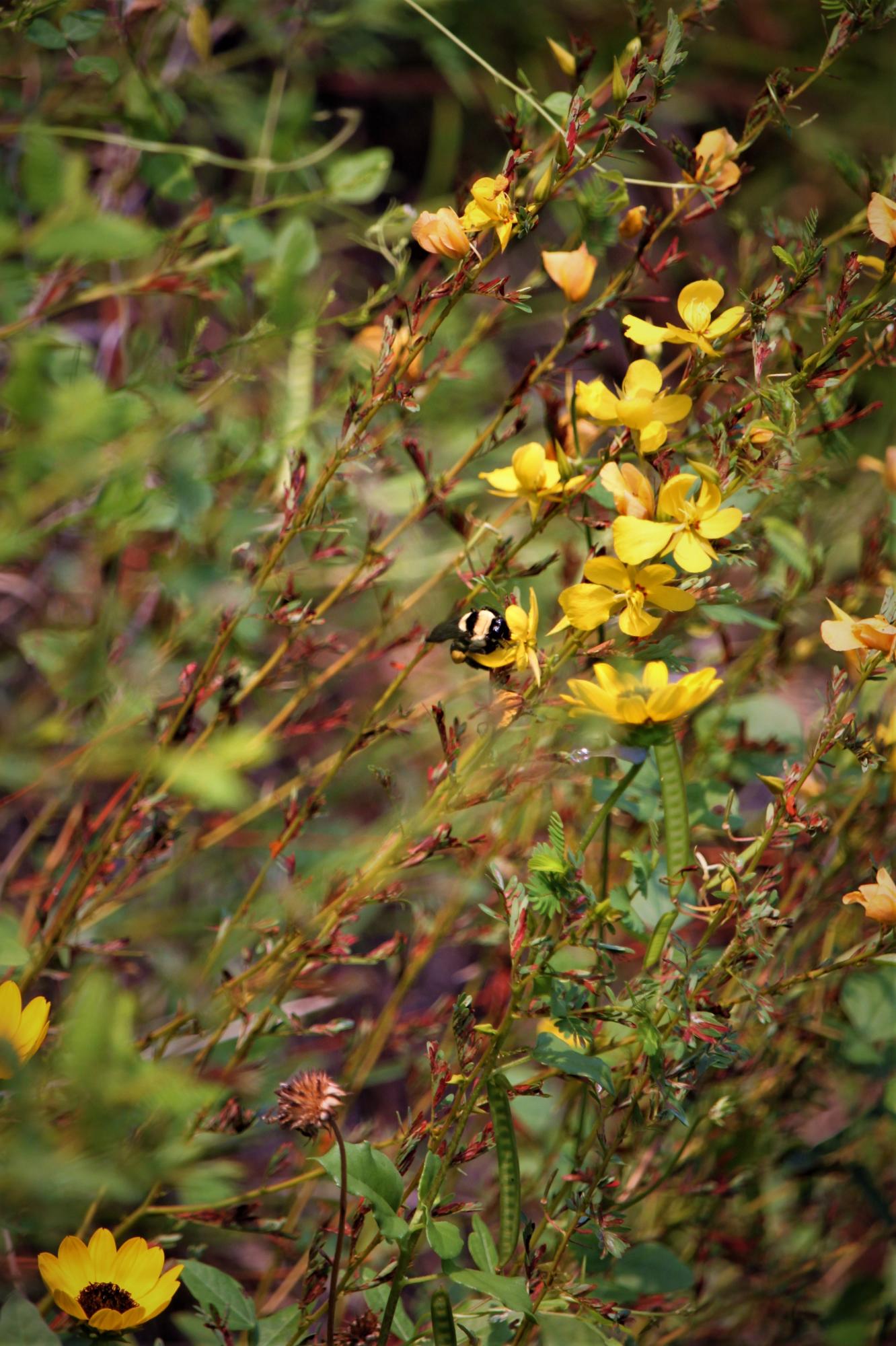 EASTERN LAKE S/D - Residential