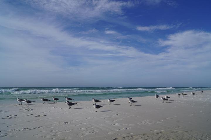 HIDDEN DUNES GRAND VILLAS - Residential