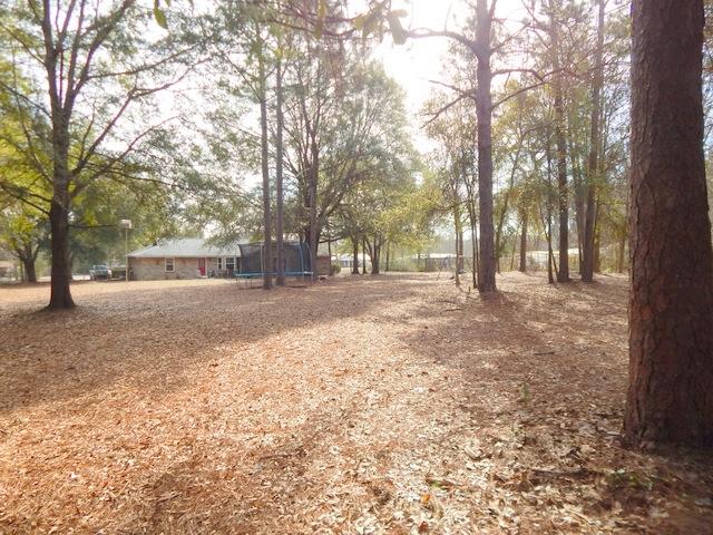 METES AND BOUNDS - Residential