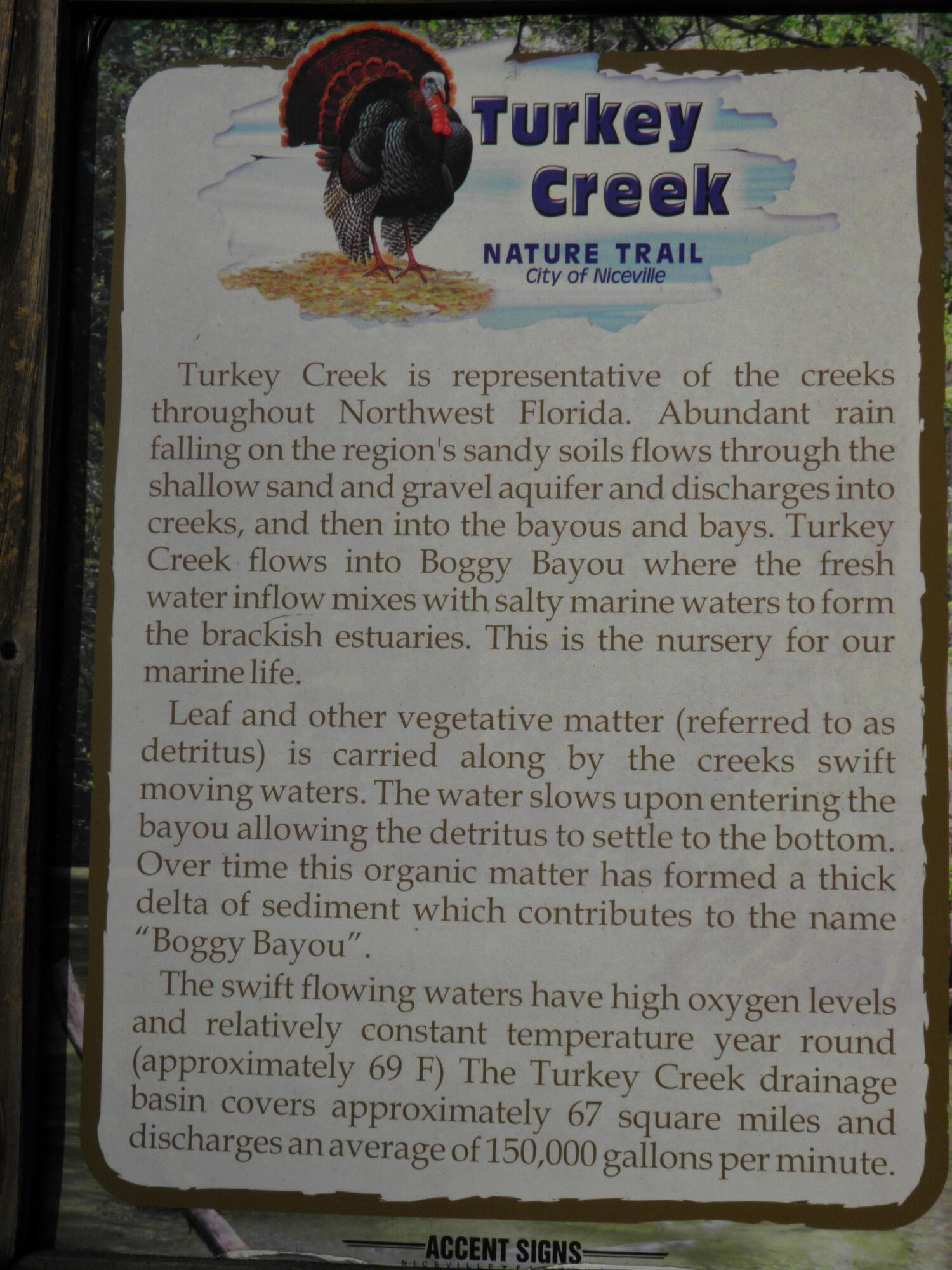 WALTON OAKS - Residential