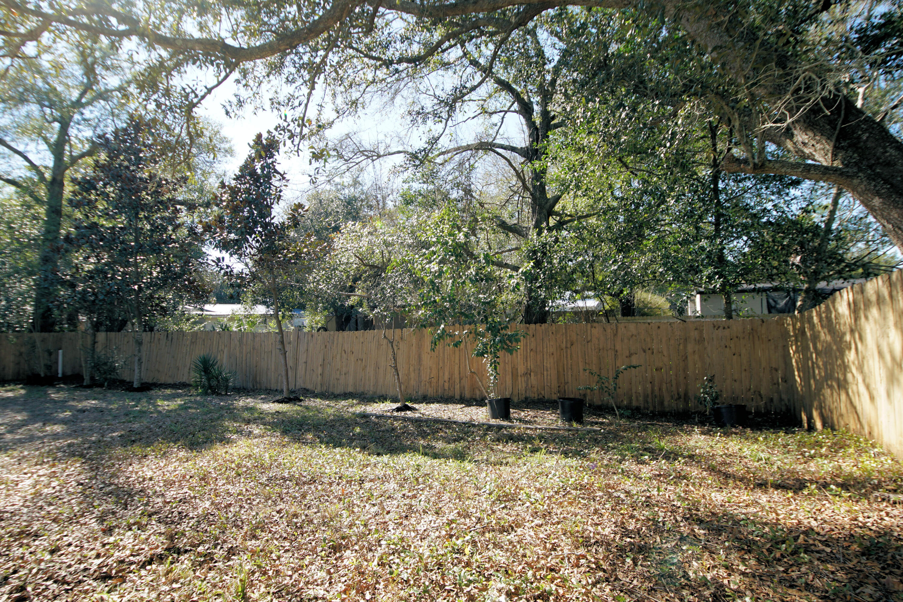 BRYN MAWR PARK - Residential