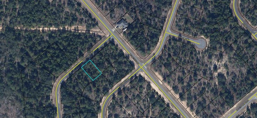 Love golf? Tee Up Your Dream Home in Sunny Hills!. This .229-acre interior lot in the sought-after Sunny Hills community offers the perfect opportunity to build your dream home just minutes from the golf course and clubhouse--without the burden of high HOA fees. Septic, well, and electric is needed 

Sunny Hills is more than just a golf community. Enjoy access to numerous spring-fed lakes with white sandy beaches, providing endless opportunities for swimming, fishing, boating, and enjoying the Florida sunshine. Whether you're looking for a full-time residence, vacation getaway, or investment property, this location offers the best of both recreation and relaxation.

Located approximately 45 minutes from Panama City's beautiful Gulf Coast beaches, Northwest Florida Beaches International Airport, and Pier Park, you'll have easy access to shopping, dining, entertainment, and travel. Everyday conveniences, medical facilities, and local shopping in Chipley are only about 20 miles away.

Build now, hold for the future, or invest in one of Northwest Florida's hidden gems. Opportunities like this don't last long!