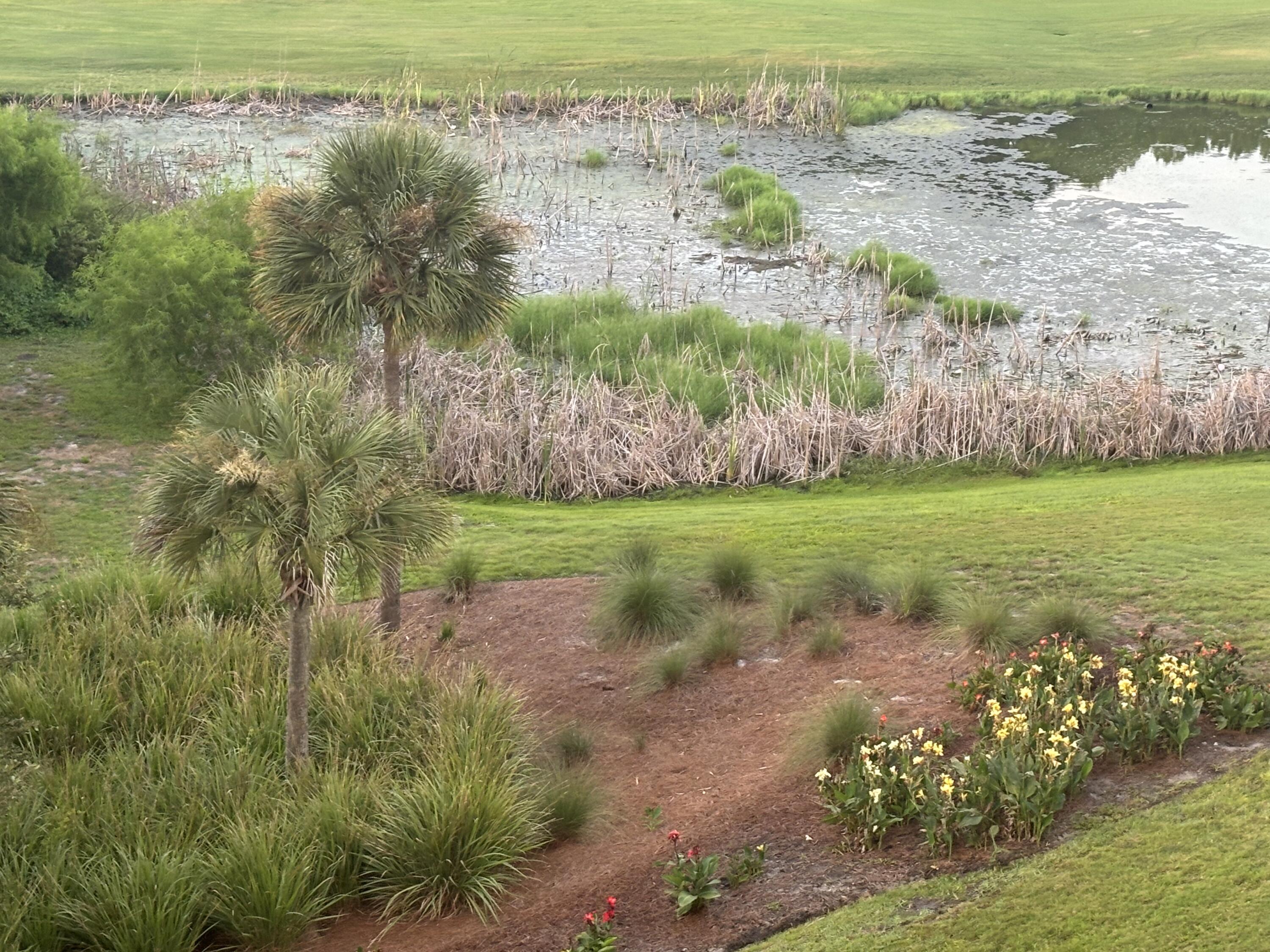 Elation - Residential