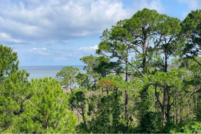 Elation - Residential