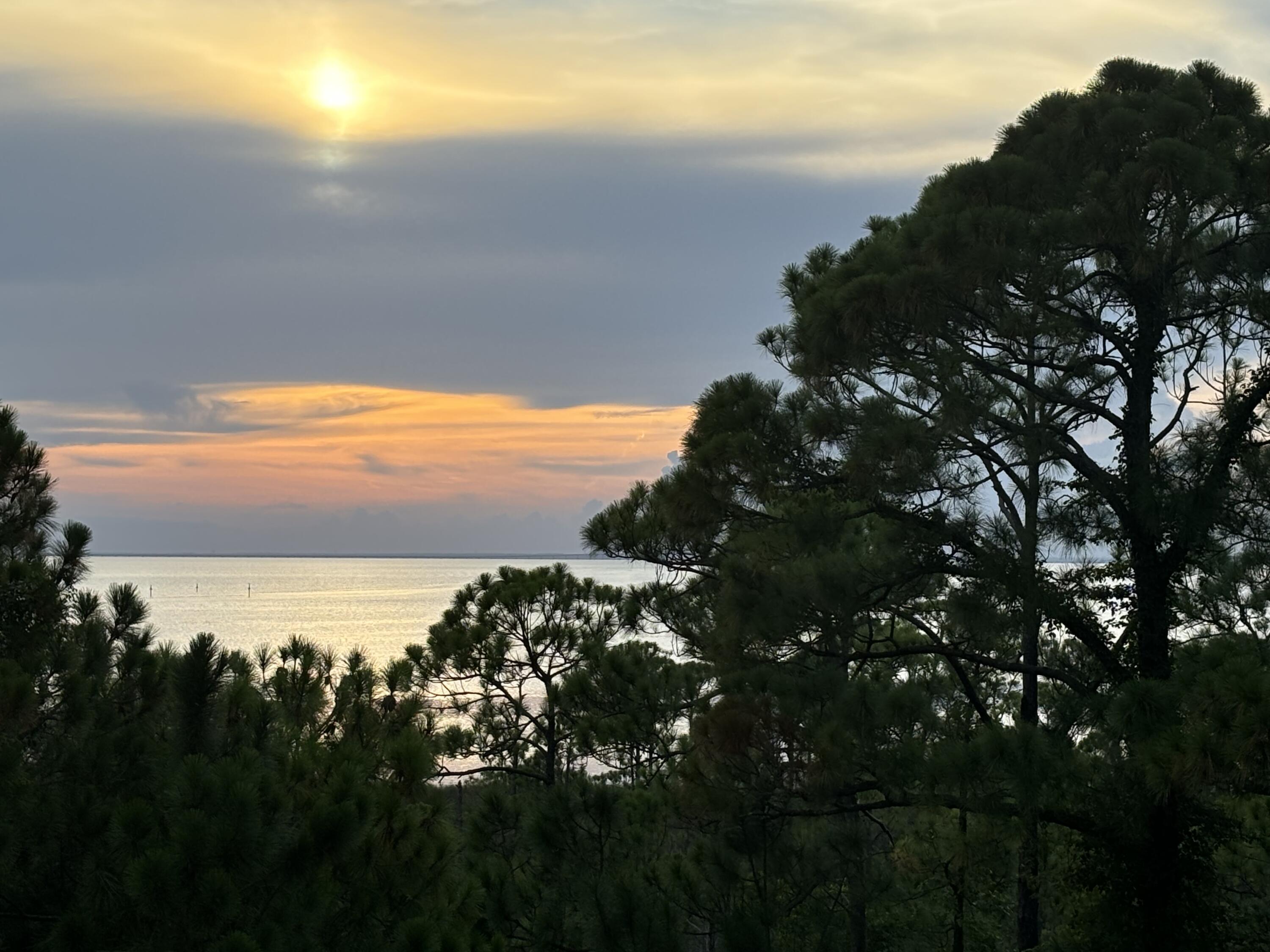 Elation - Residential