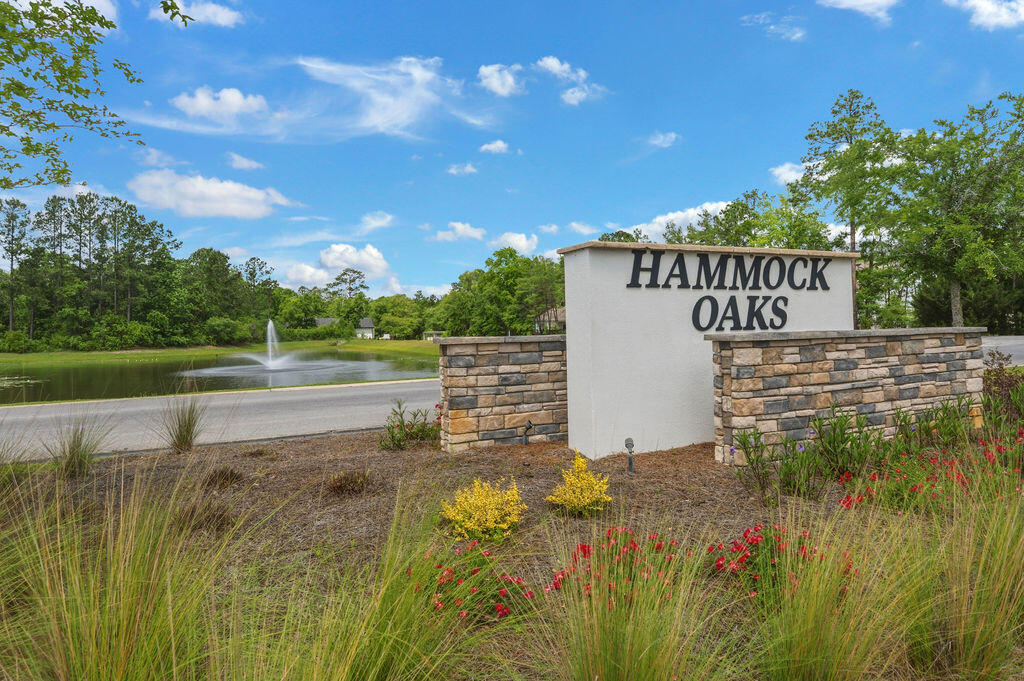 Hammock Oaks Estates - Residential