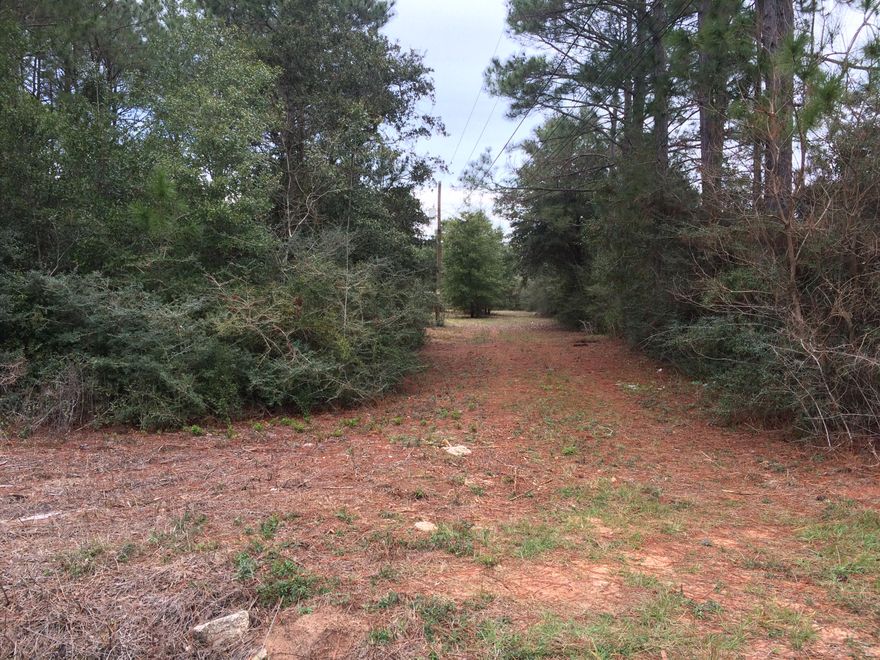 Great buildable lot with quick access to Hwy 98. High and dry on paved street. Previously improved with electric, water and septic on the property. Sewer is available. Tap fees have not been paid. Home that was on the property has been removed.