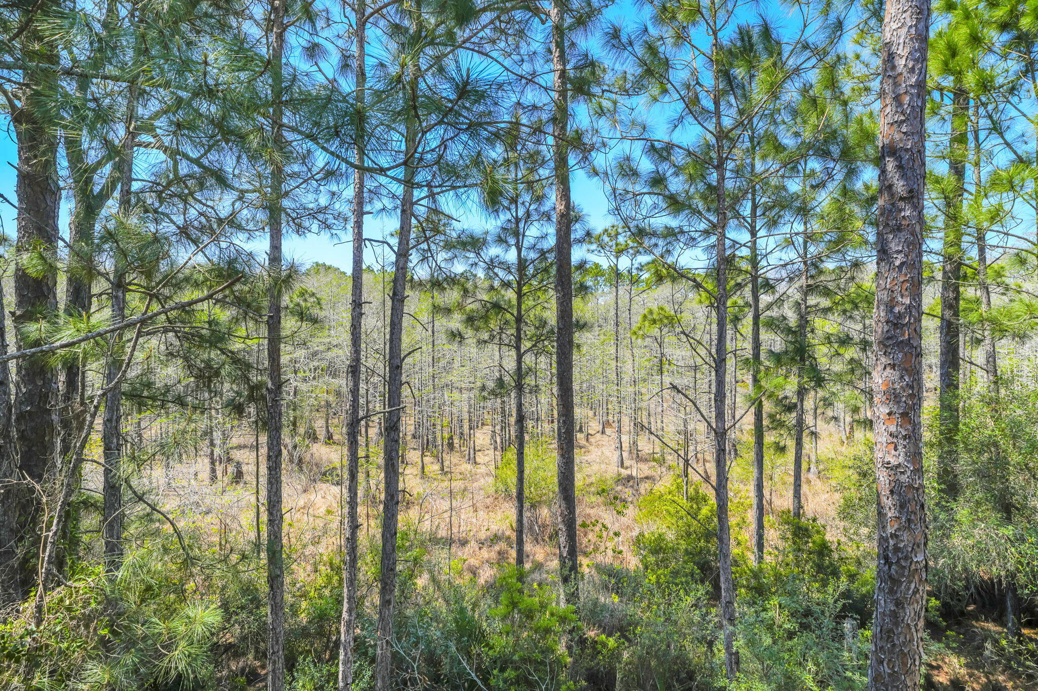 CYPRESS DUNES - Residential