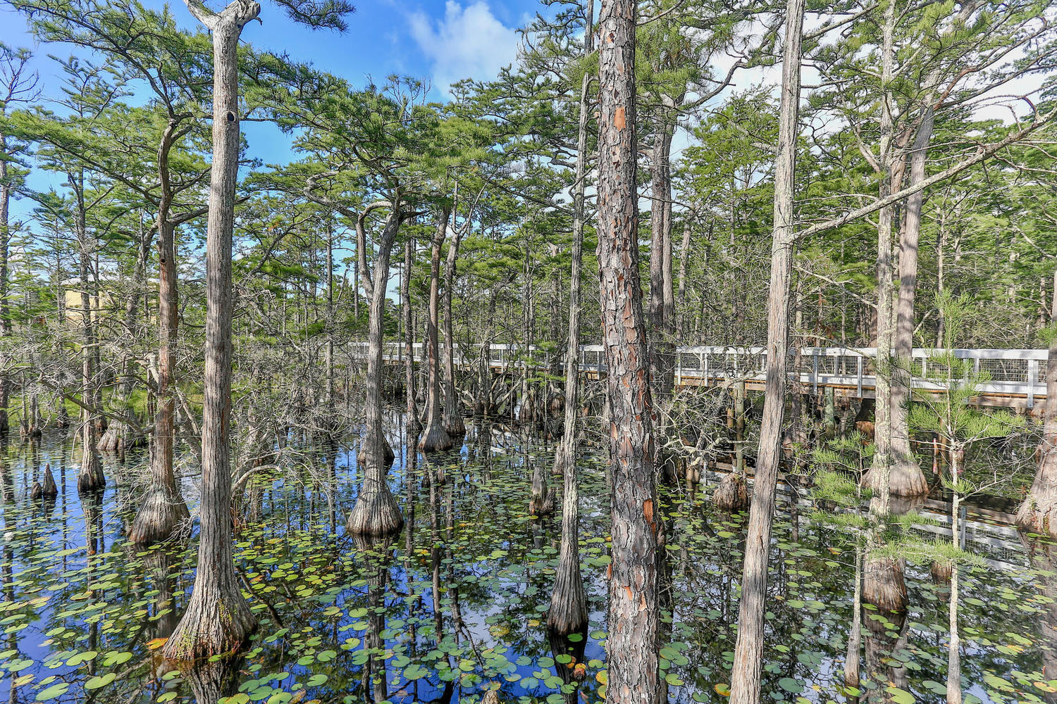 CYPRESS DUNES - Residential
