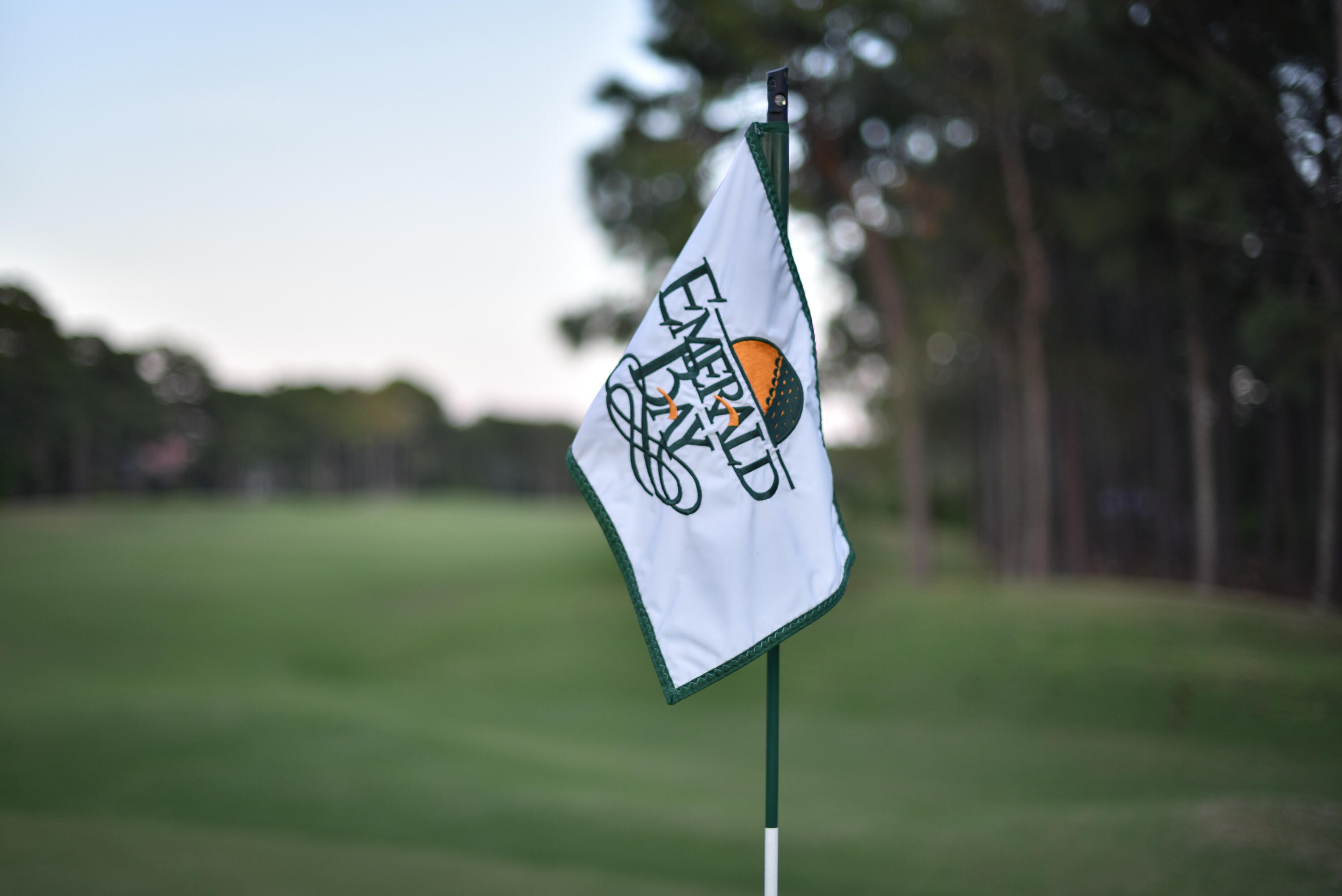 EMERALD BAY PH 1A - Residential