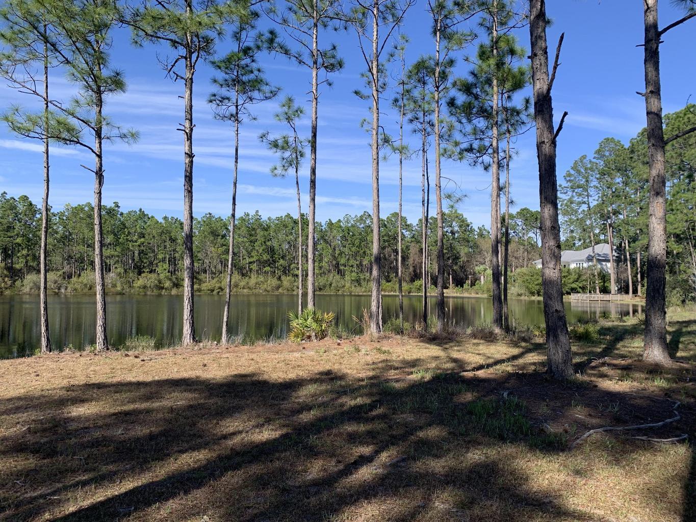 CANO ESTATES - Residential