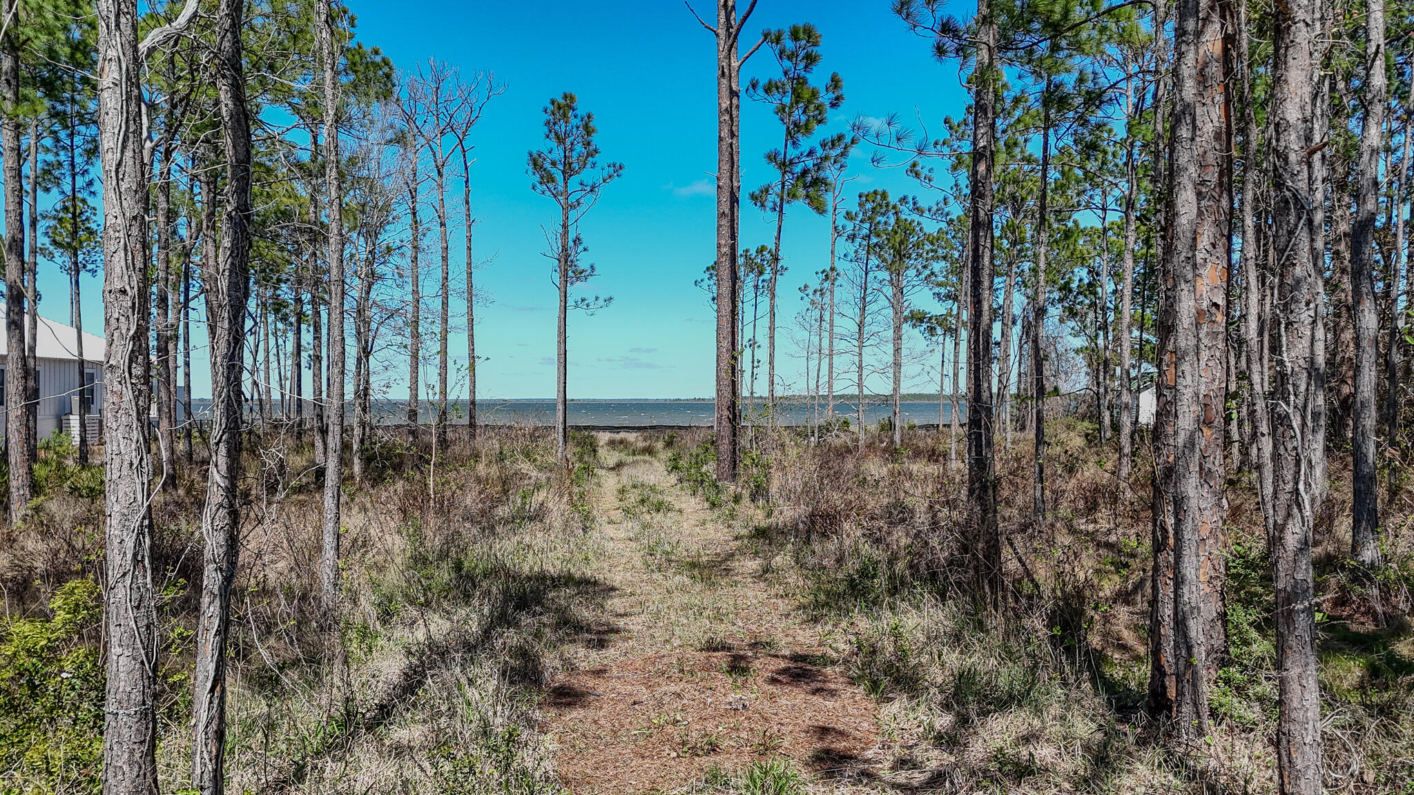 WOODLAND BAYOU ESTATES - Land