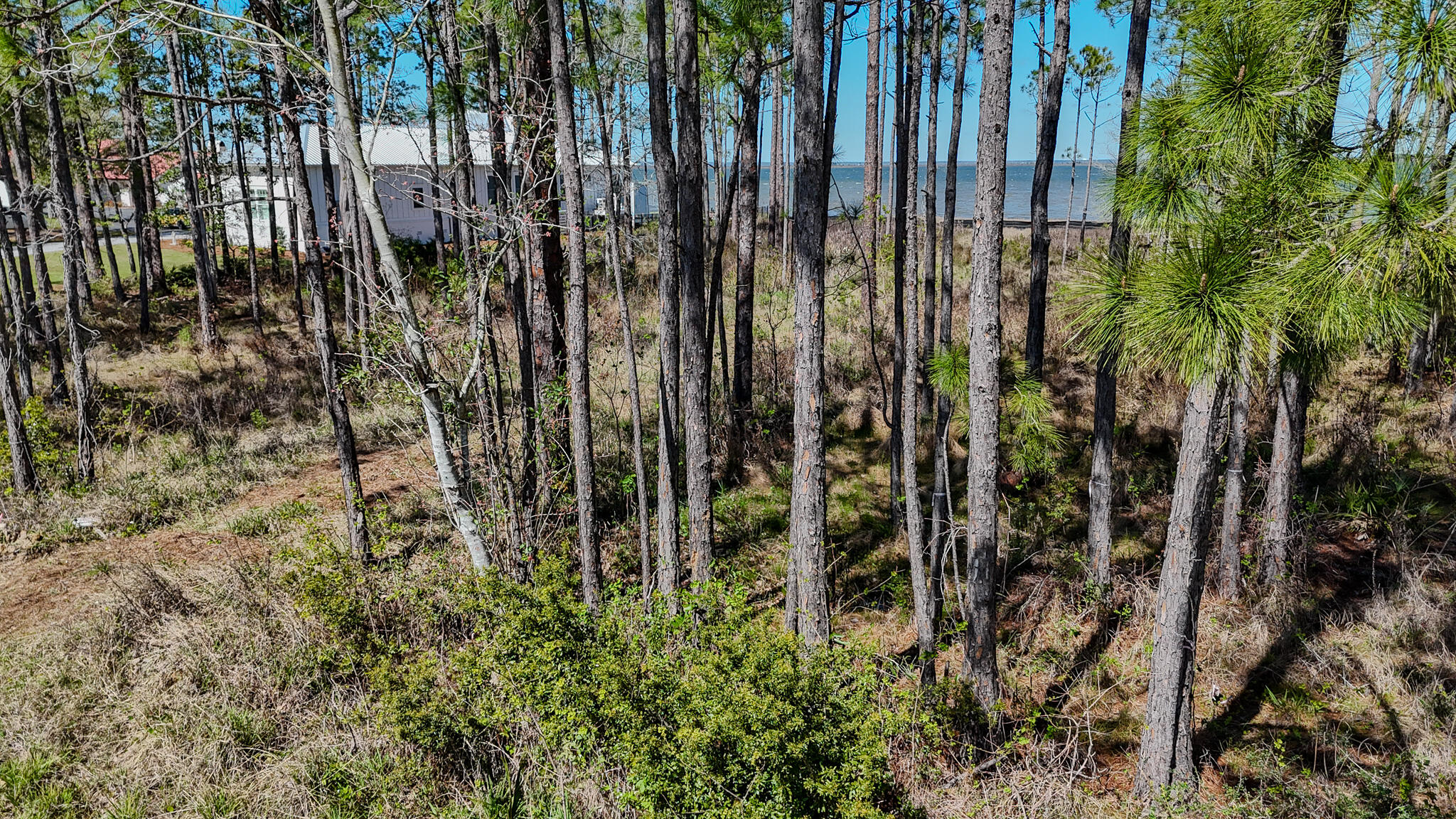 WOODLAND BAYOU ESTATES - Land