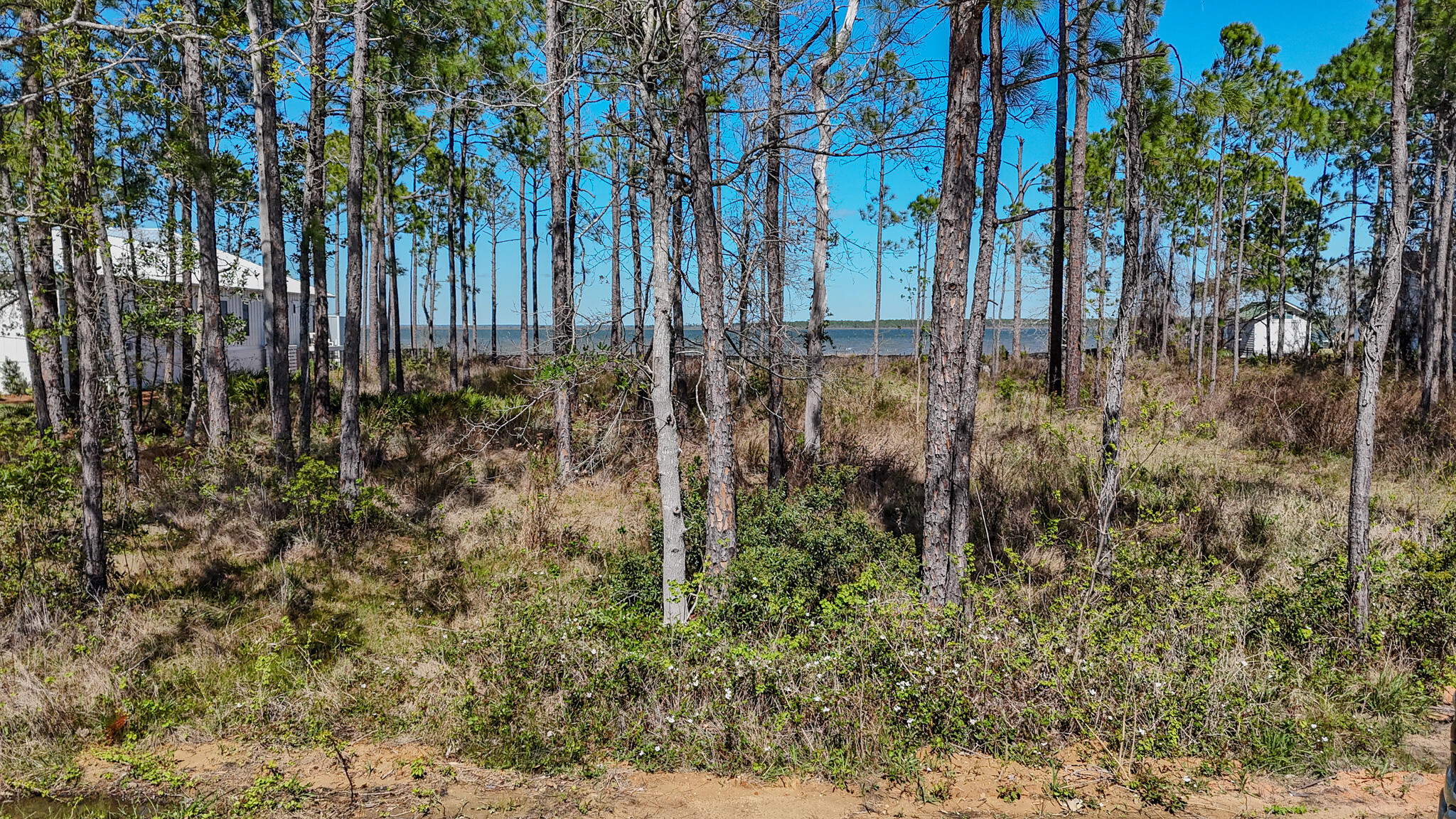 WOODLAND BAYOU ESTATES - Land