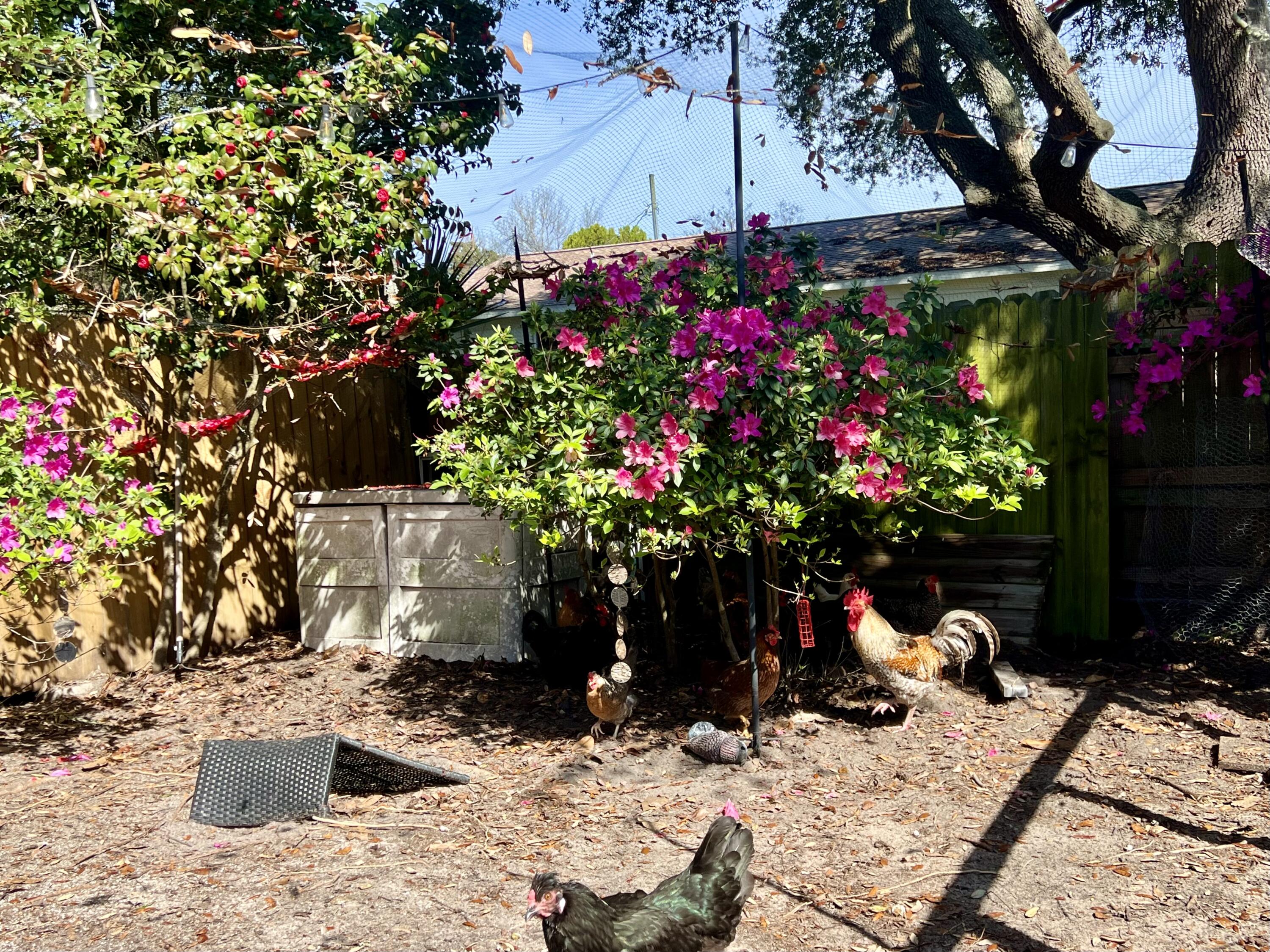 SEA HILLS 1ST - Residential