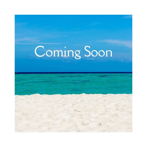 46 Lake Street Miramar Beach FL 32550