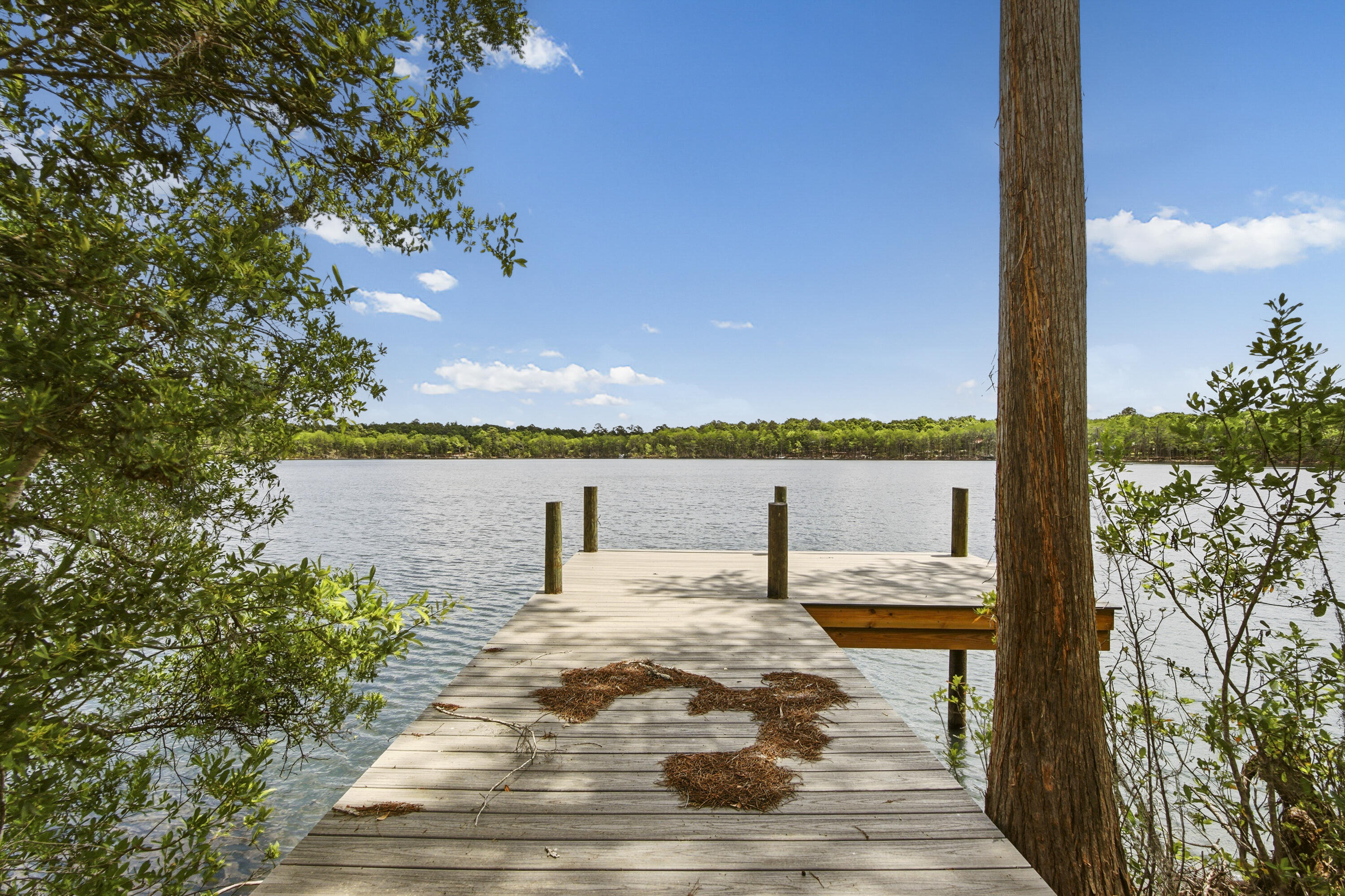 BLUE CYPRESS - Residential