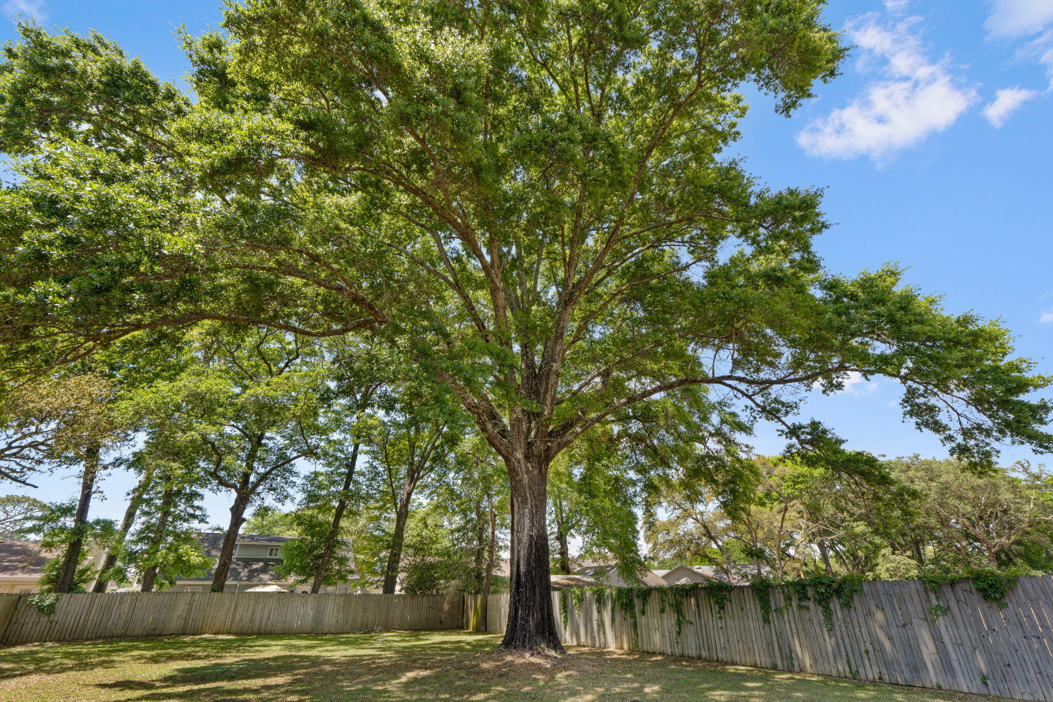 SEMINOLE S/D - Residential