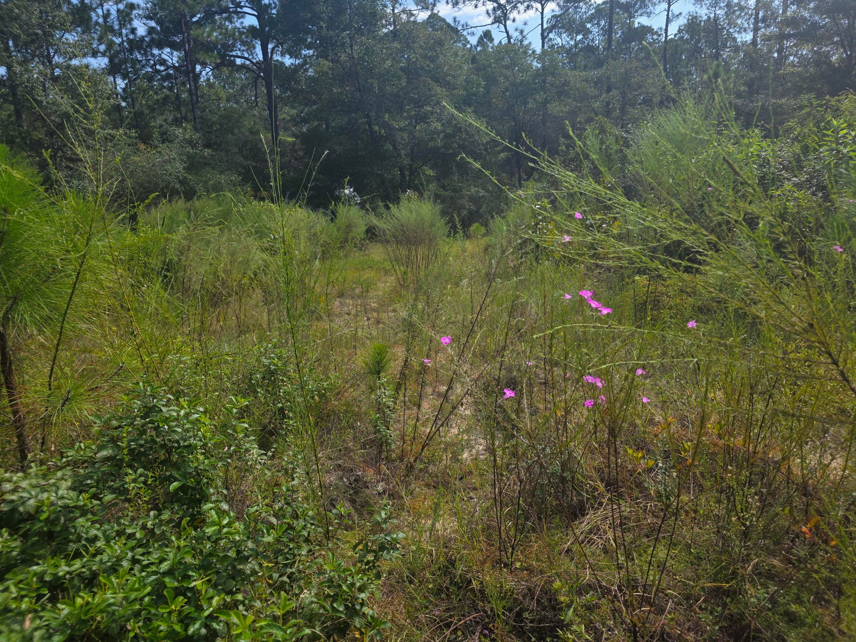 Lot 48 Clearwater Drive