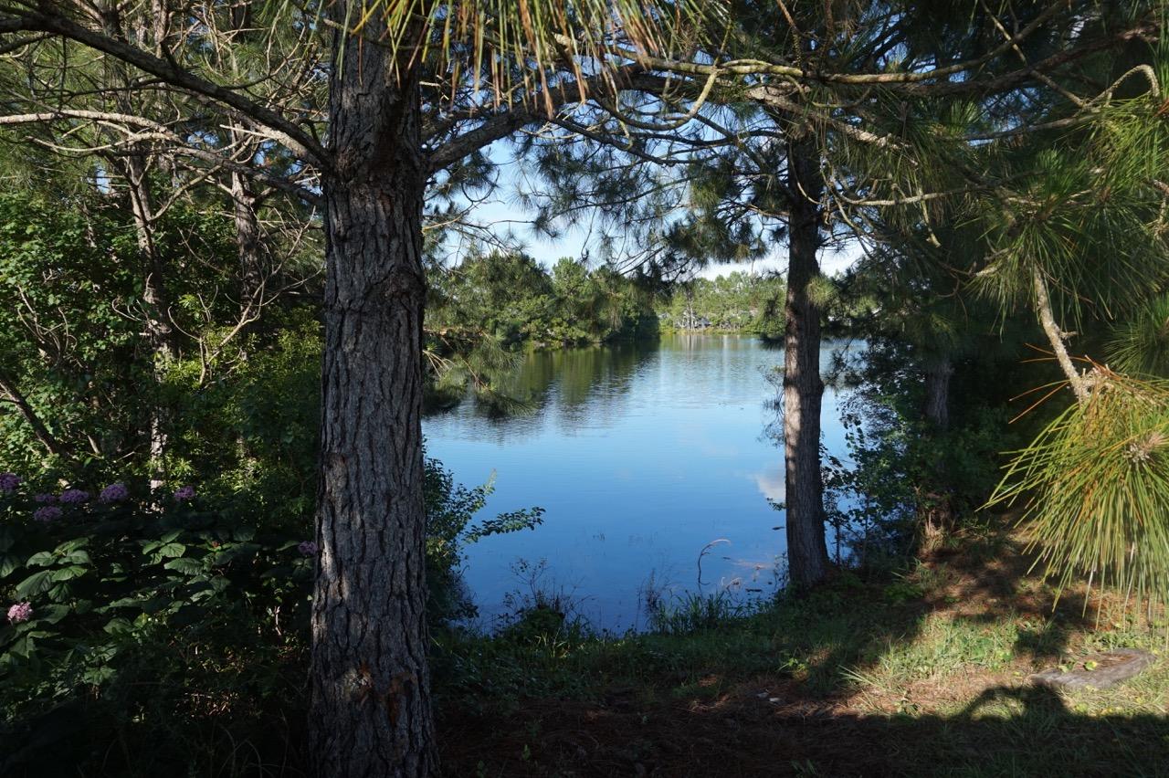 HIDDEN SHORES - Residential