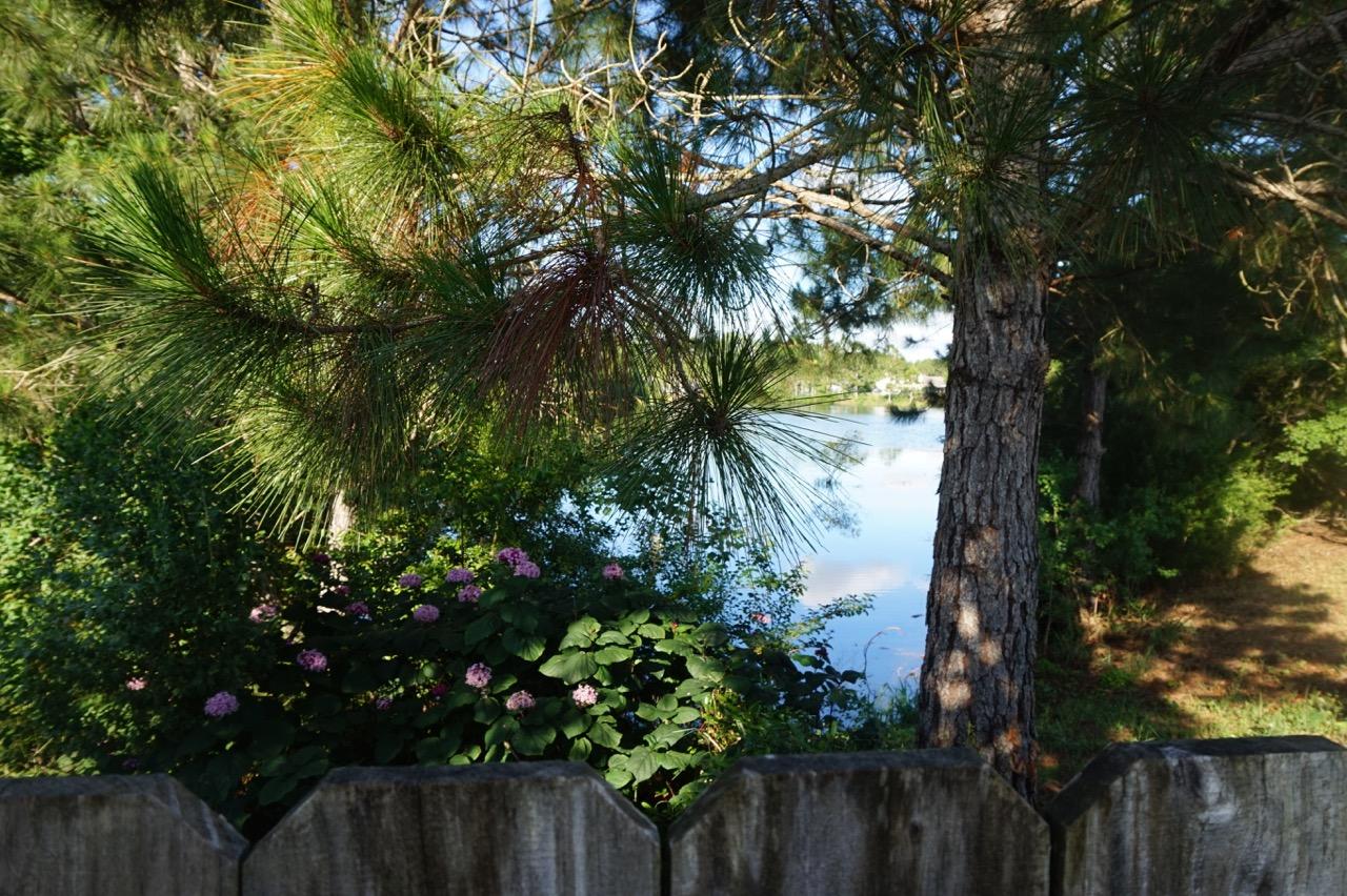 HIDDEN SHORES - Residential