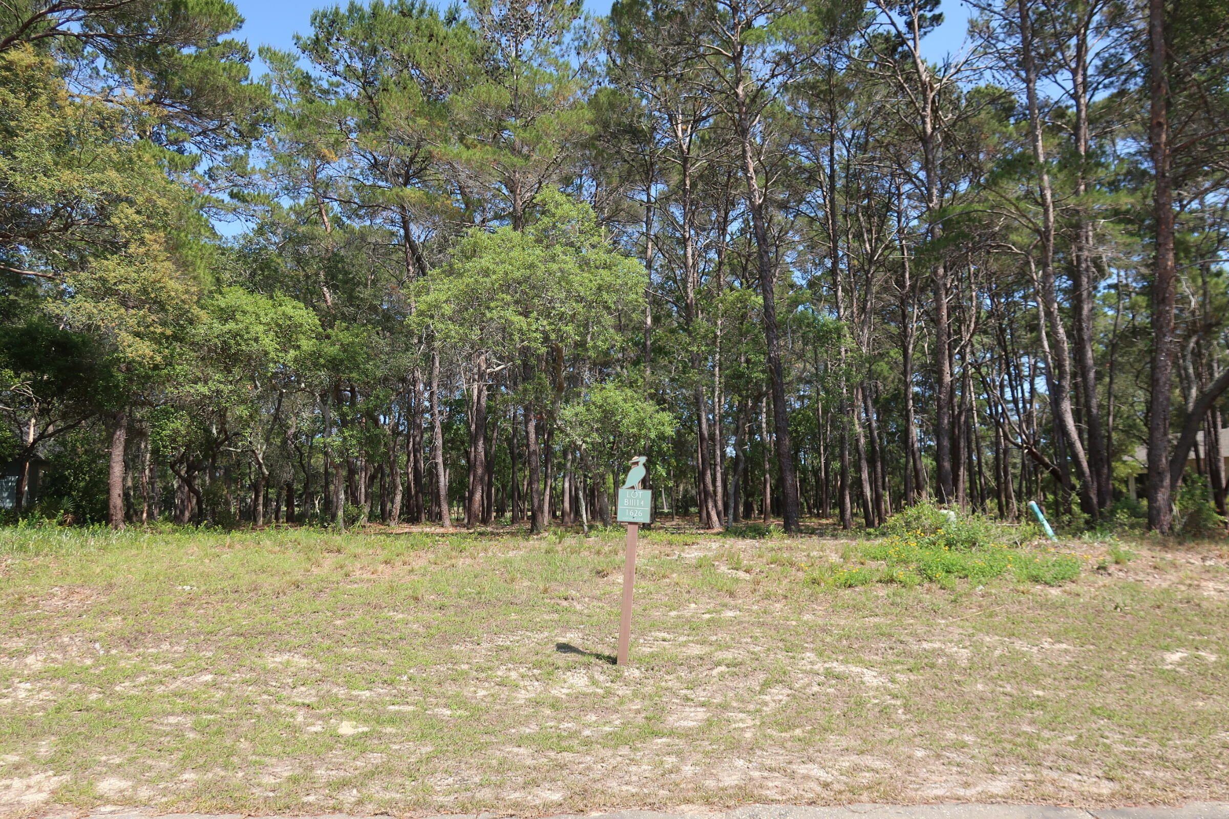 Wild Heron Phase III - Land