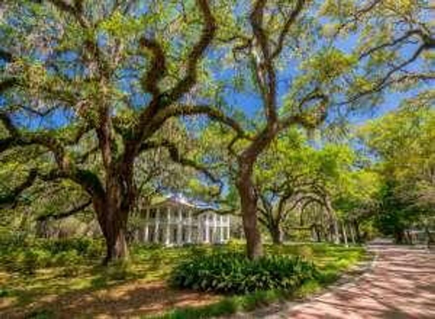Build your dream home on this canal front lot with Bay access located in the historic Daughettes of Point Washington. 
(If your dreams need a kick-start, this property has approved, to-be-built plans!)

Point Washington is over 15,000 acres of Florida at its finest- all natural! Eden Garden State Park is a beautiful collection of botanical gardens, views of the Bay, and the historic Wesley Mansion. Gardens bloom in spring and year round hikers, bikers, runners and fishermen can enjoy the world that surrounds us.