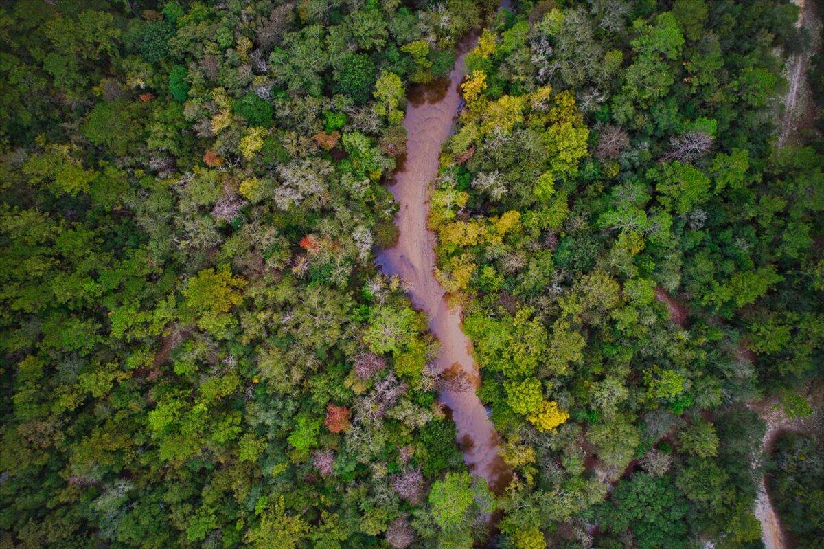 Metes and Bounds - Residential