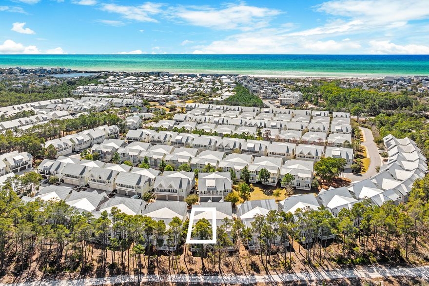 This turn-key, fully furnished Prominence 'B' townhome comes rental-ready with a golf cart included--making it an ideal investment property, second home, or the perfect combination of both. Ideally positioned on a premium lot backing up to the preserve, this three-bedroom, 2.5-bath residence offers the privacy and views vacation guests actively seek--helping drive stronger rental demand and repeat bookings. Inside, the thoughtfully designed floor plan features 10-foot ceilings, hardwood floors, quartz countertops, stainless steel appliances, and smart home technology - details that deliver the elevated coastal experience today's renters expect while giving owners a comfortable, low-maintenance personal retreat. The two-car garage provides valuable storage for bikes, beach gear, and the included golf cart. Located in the heart of Prominence along Scenic 30A, owners and guests enjoy easy access to the area's most desirable destinations, including the beaches of Deer Lake State Park, and the nearby communities of Seagrove, Alys Beach, Rosemary Beach, and Seaside. The community's private beach shuttle makes beach days effortless, while miles of bike paths connect you to dining, shopping, and entertainment. Prominence is one of 30A's most sought-after rental communities thanks to its resort-style pools, fitness center, and The Big Chill--an energetic town center featuring restaurants, live music, outdoor movies, and year-round events. Whether you're searching for a second home or rental with meaningful income potential in a prime 30A location, this property offers the ideal blend of lifestyle, convenience, and investment performance.