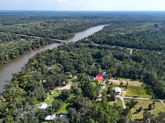 HOWELL BLUFF RD, PONCE DE LEON, FL 32455 - Image 11c7ba27e4eecdcd6492ec043ec94dc9/1498559814