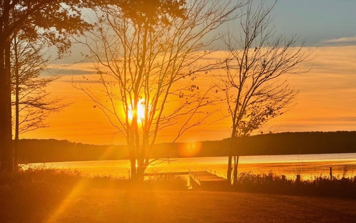 Holbrook Property - Residential