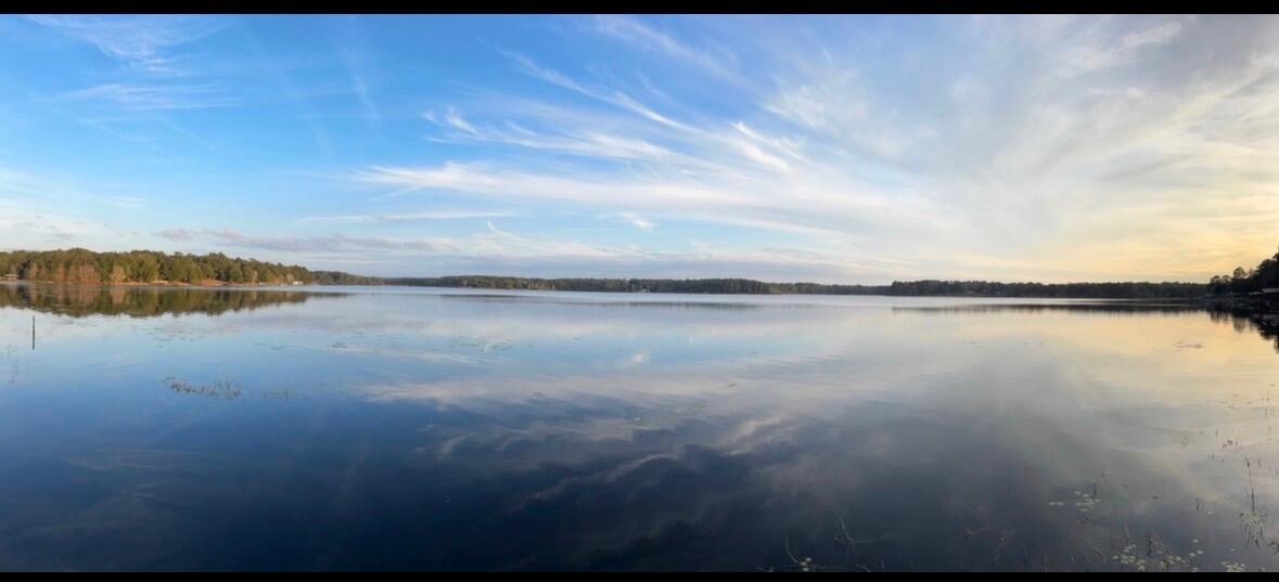 Holbrook Property - Residential