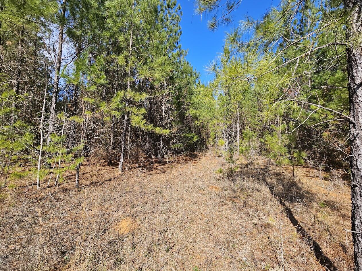 METES & BOUNDS - Land