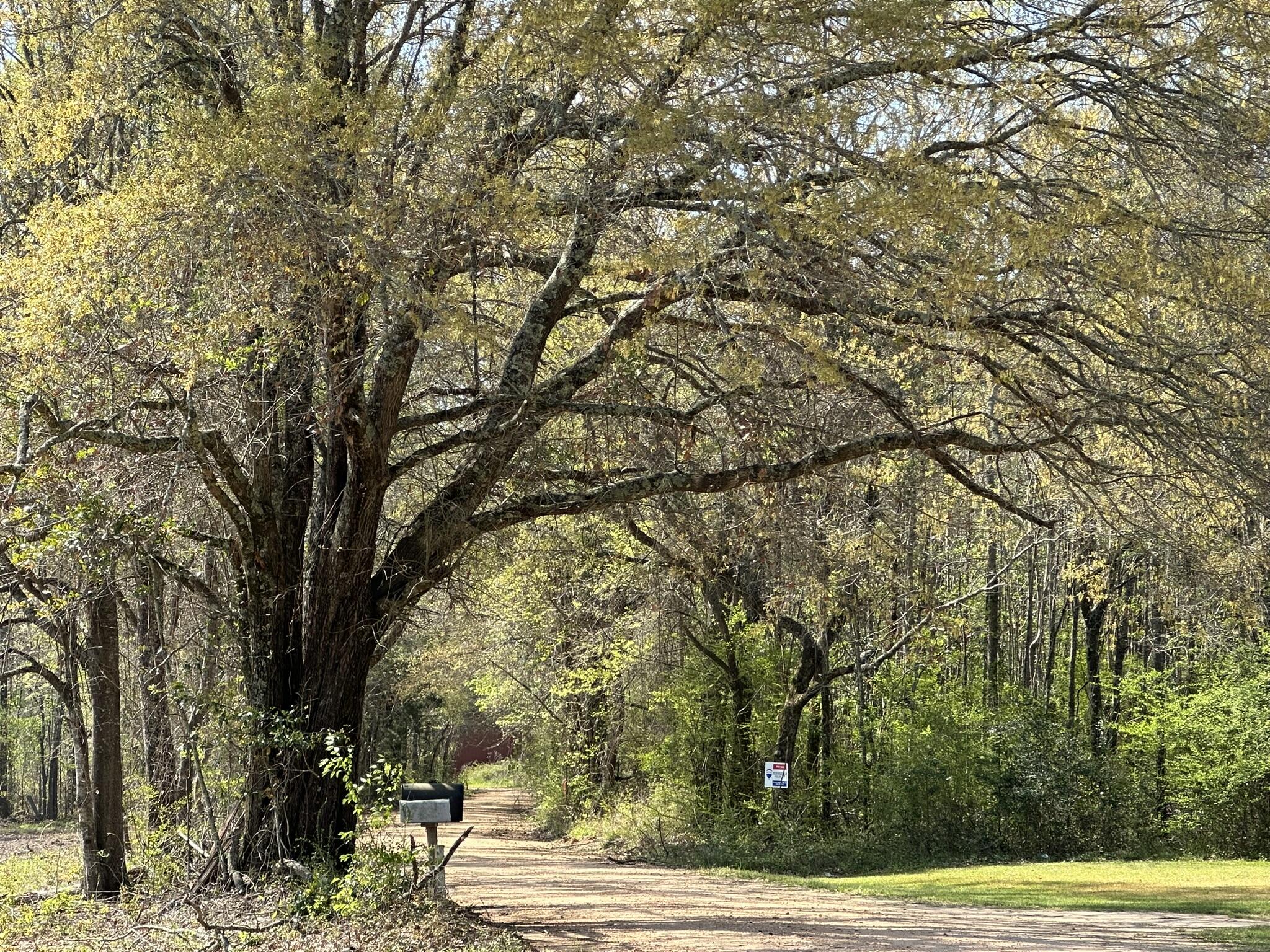 METES & BOUNDS - Land