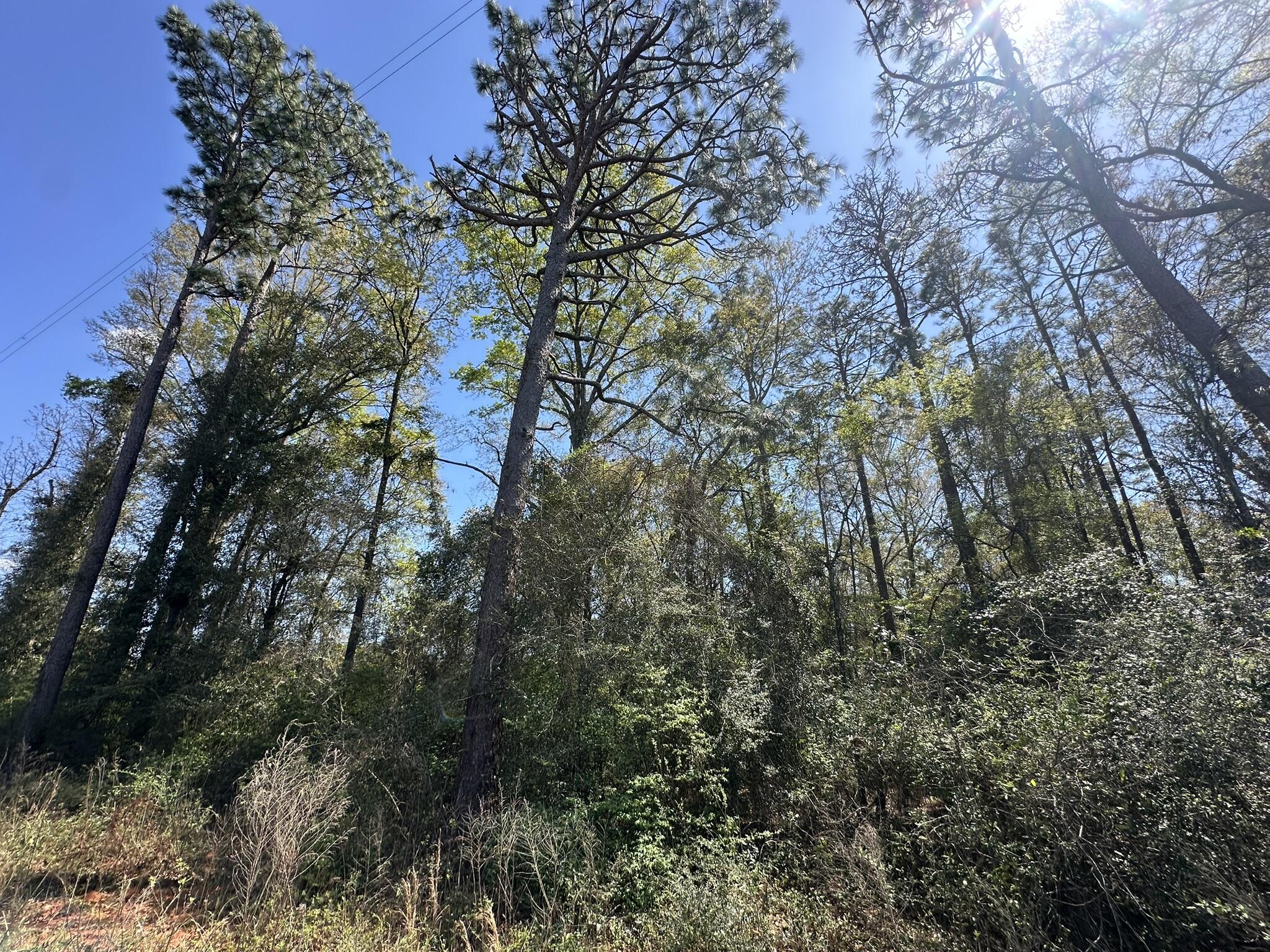 NO RECORDED SUBDIVISION - Land