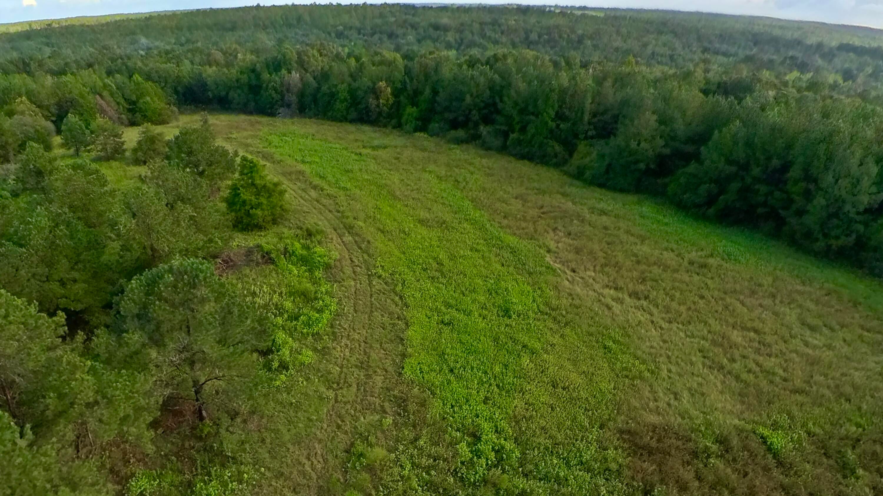 71 Acres Pouncey Drive