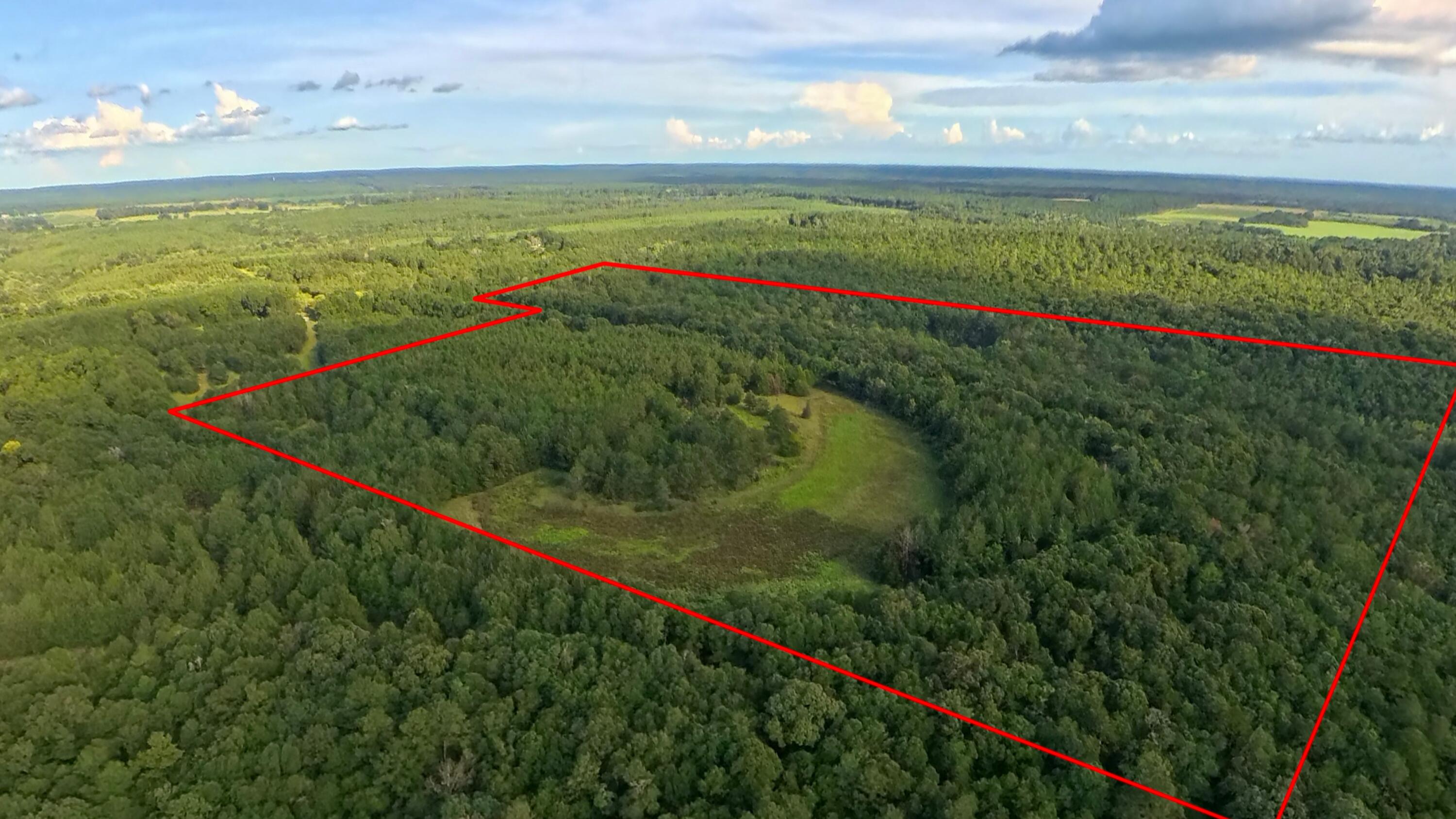 71 Acres Pouncey Drive