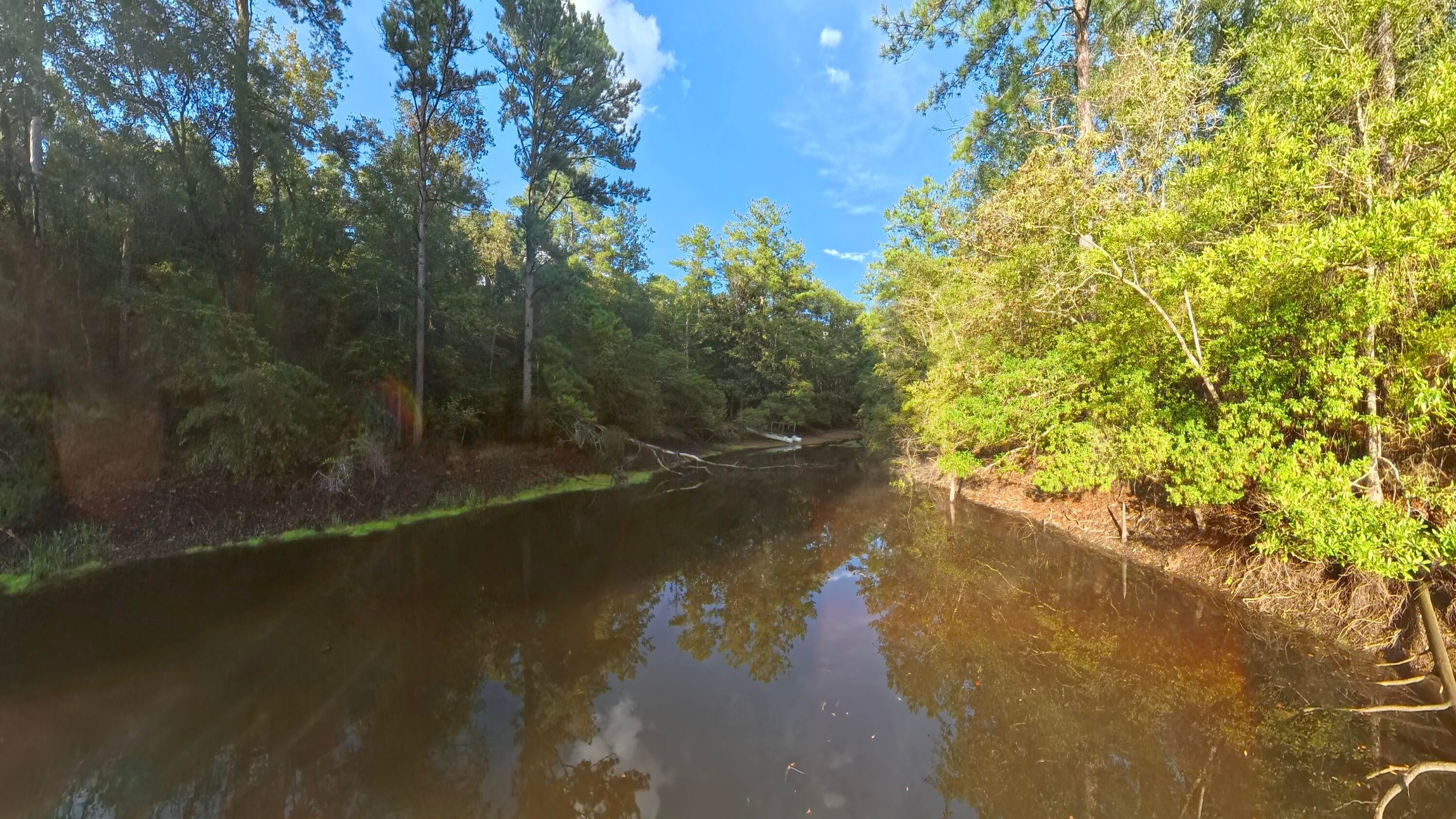 71 Acres Pouncey Drive