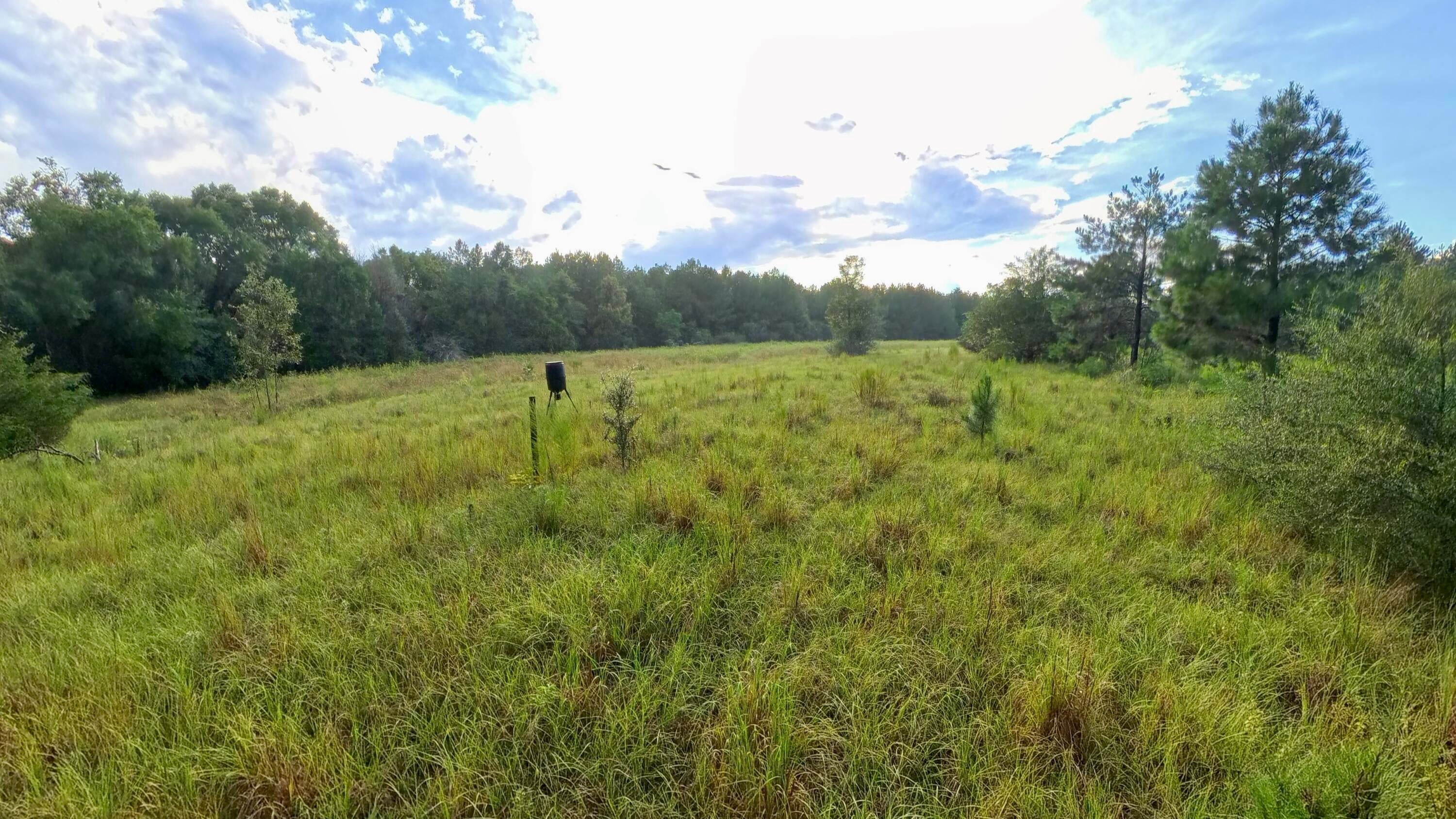 71 Acres Pouncey Drive