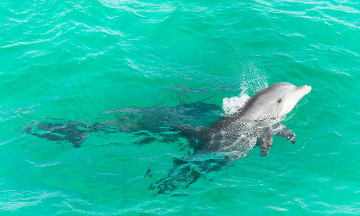 CAMP CREEK LAKE - Residential